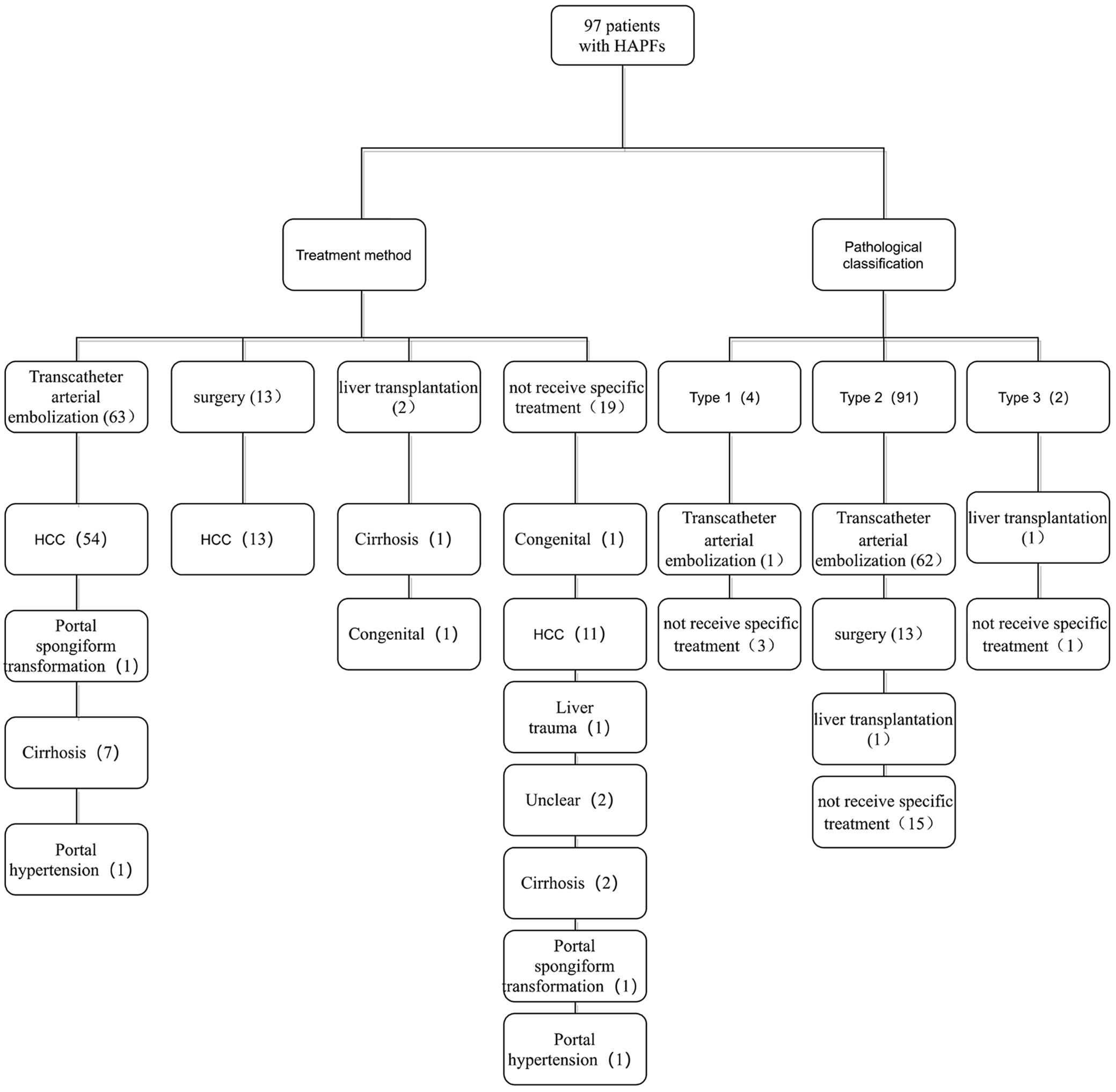 Flow chart for management of the 97 cases of HAPF in the present study.