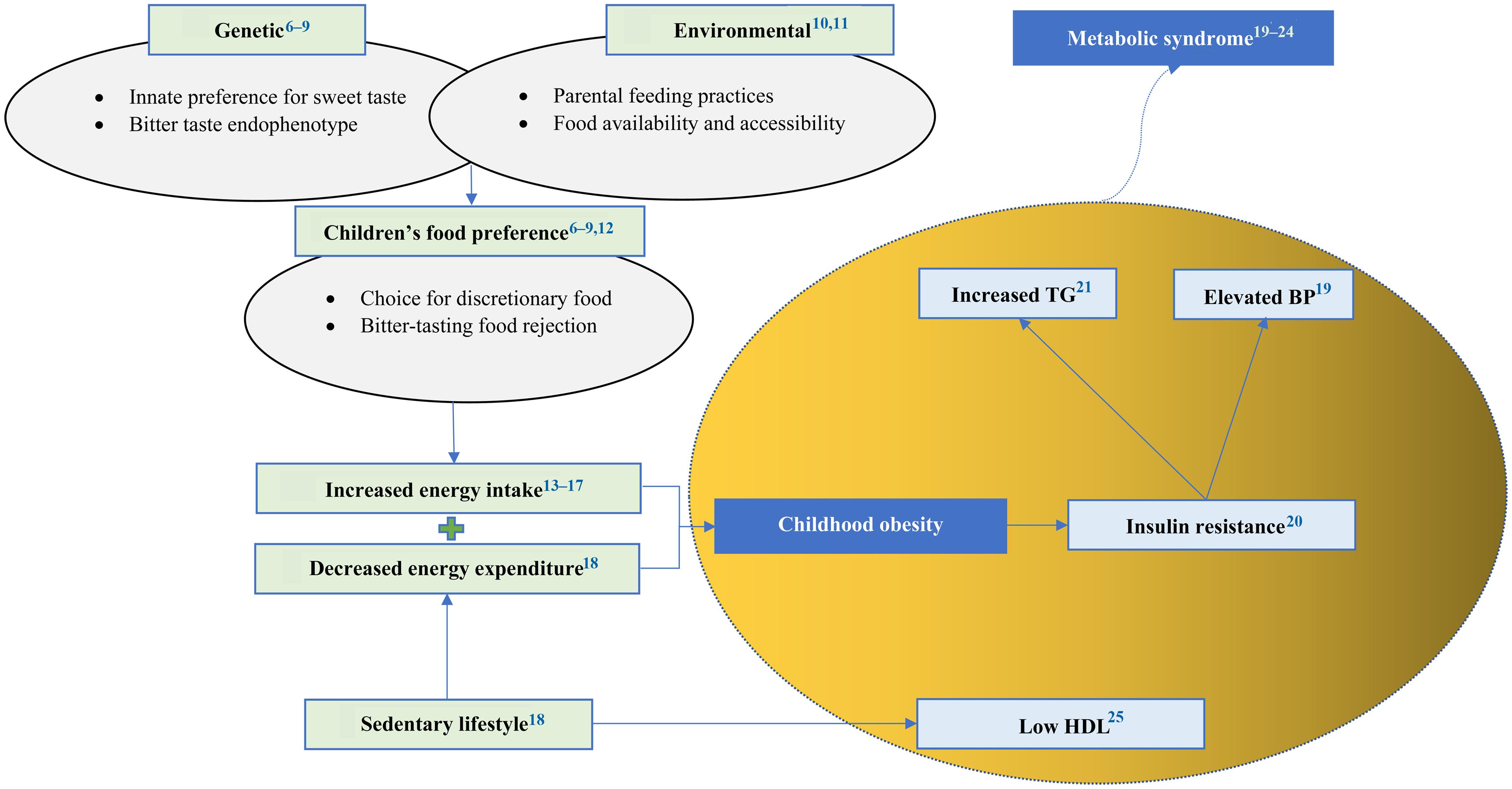 Aetiology of childhood obesity and metabolic syndrome.