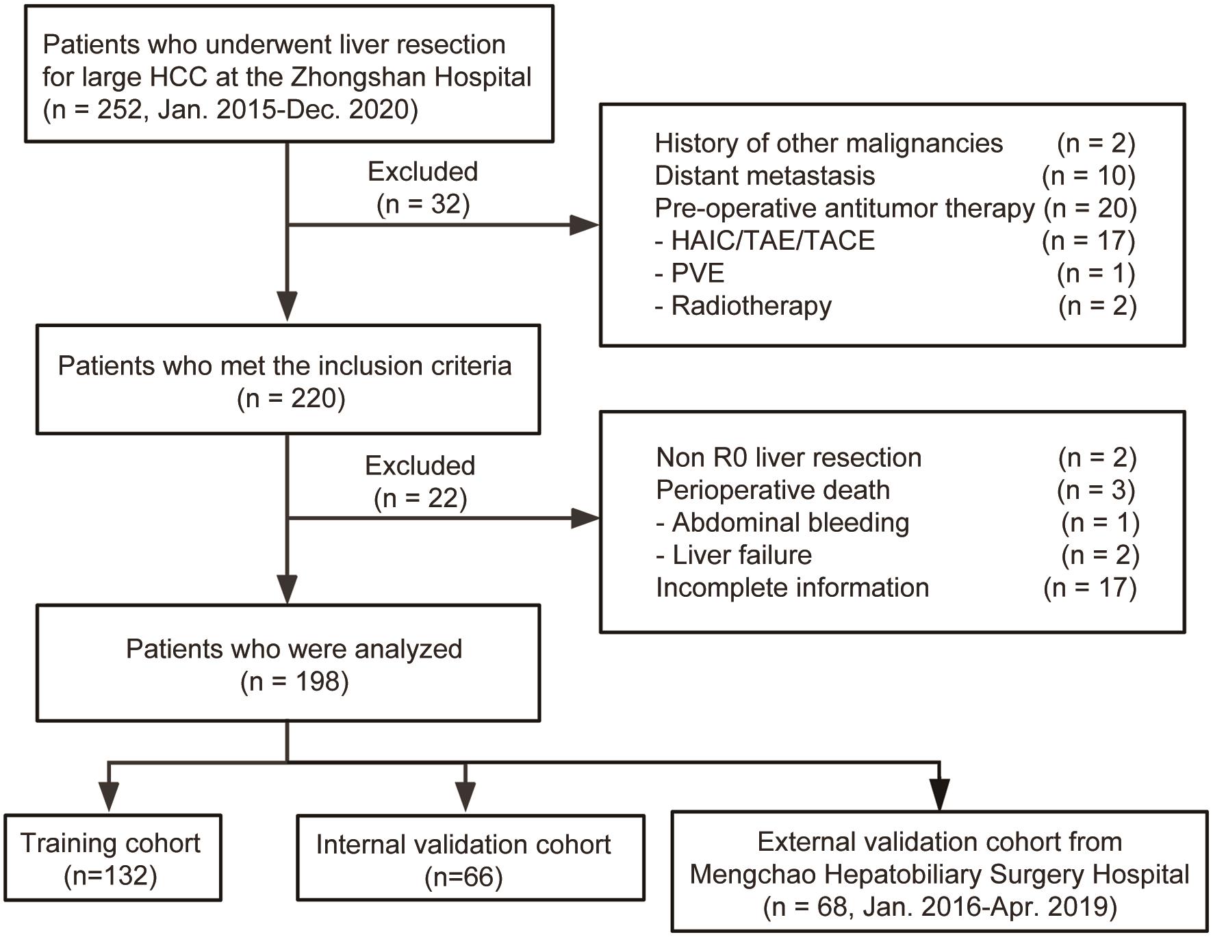 Flowchart of patients identified in this study.
