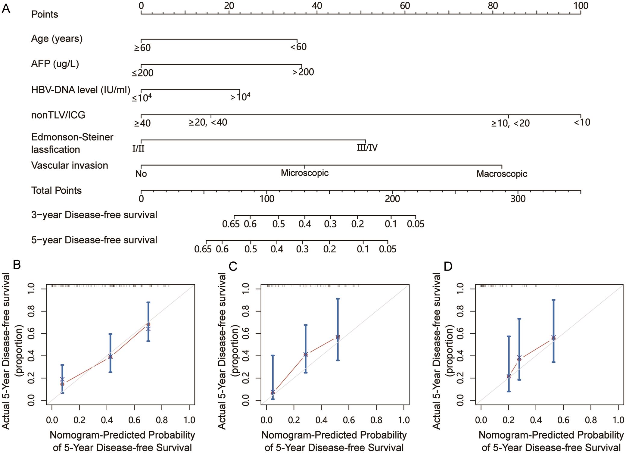 Establishment and calibration of the nomogram predicting DFS for HCC patients.