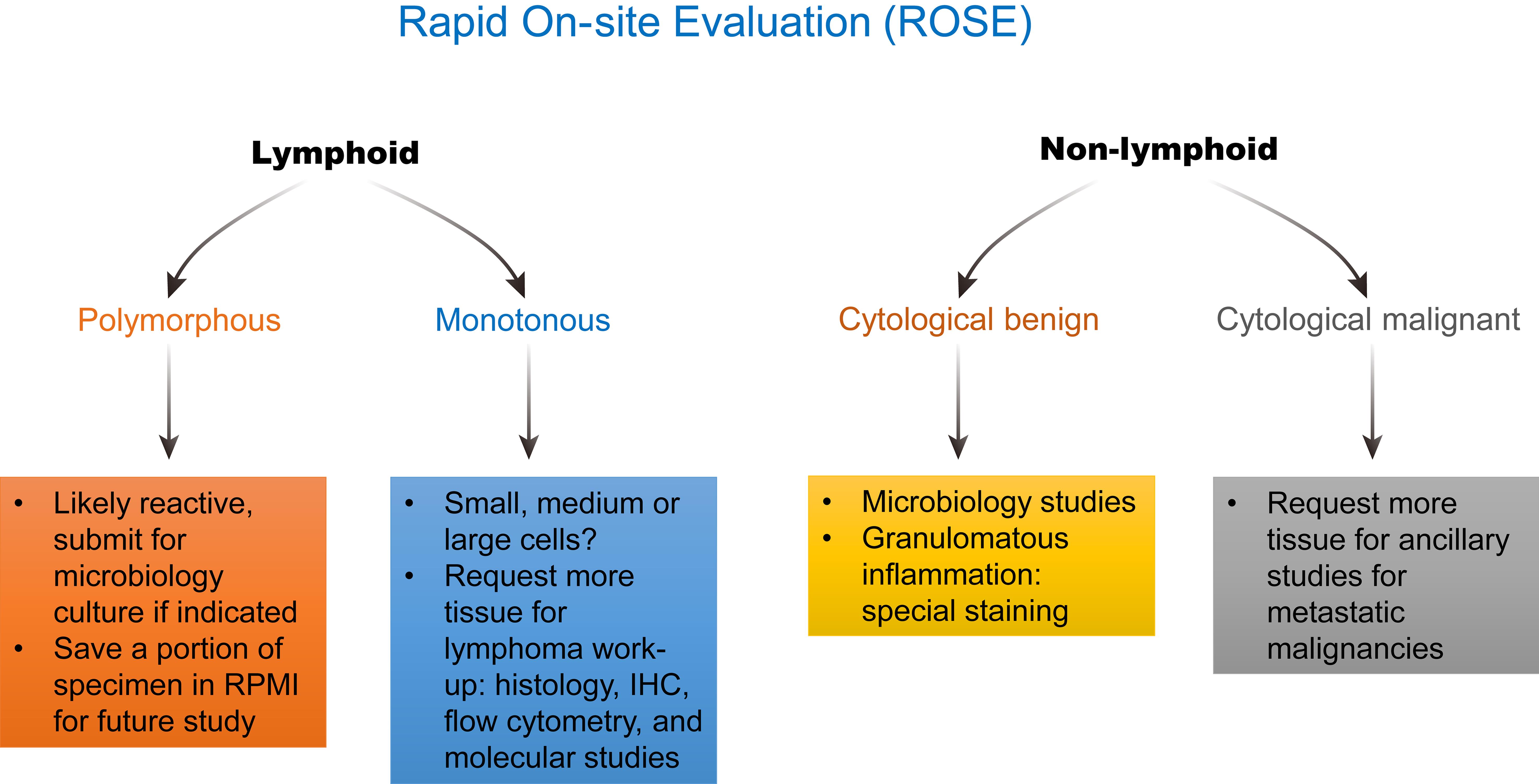 Rapid on-site evaluation (ROSE).