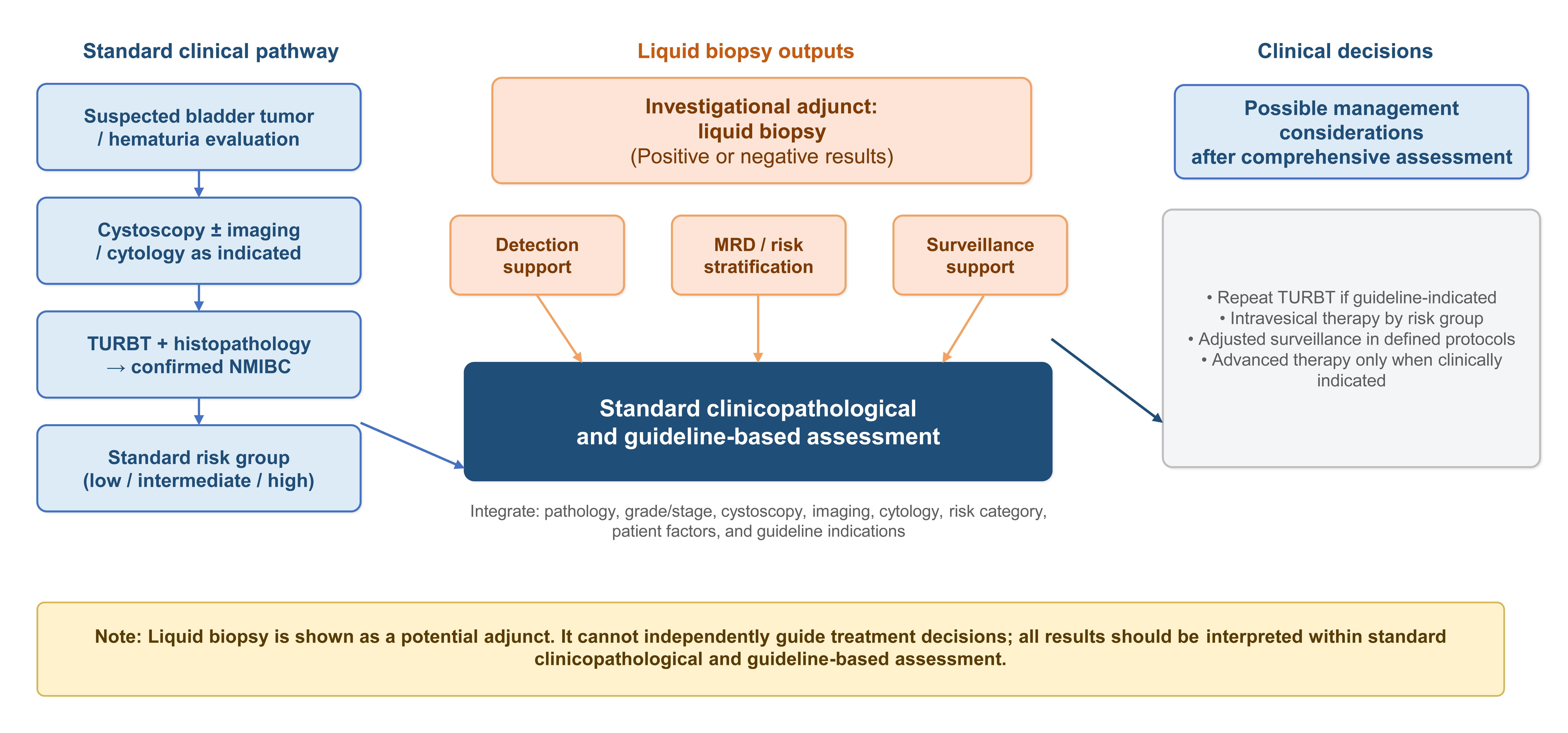 Potential adjunctive roles of liquid biopsy in NMIBC management.