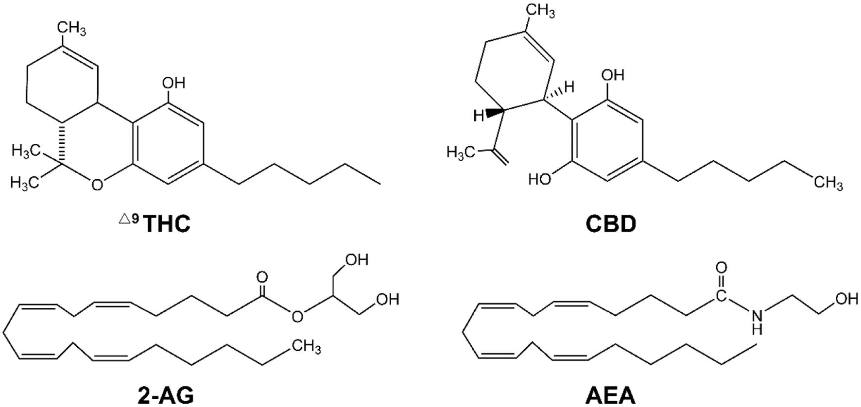 Lipophilic structures for delta-9-tetrahydrocannabinol (<sup>Δ9</sup>THC) and cannabidiol (CBD) as well as the endocannabinoids 2-arachidonoylglycerol (2-AG) and anandamide (AEA).