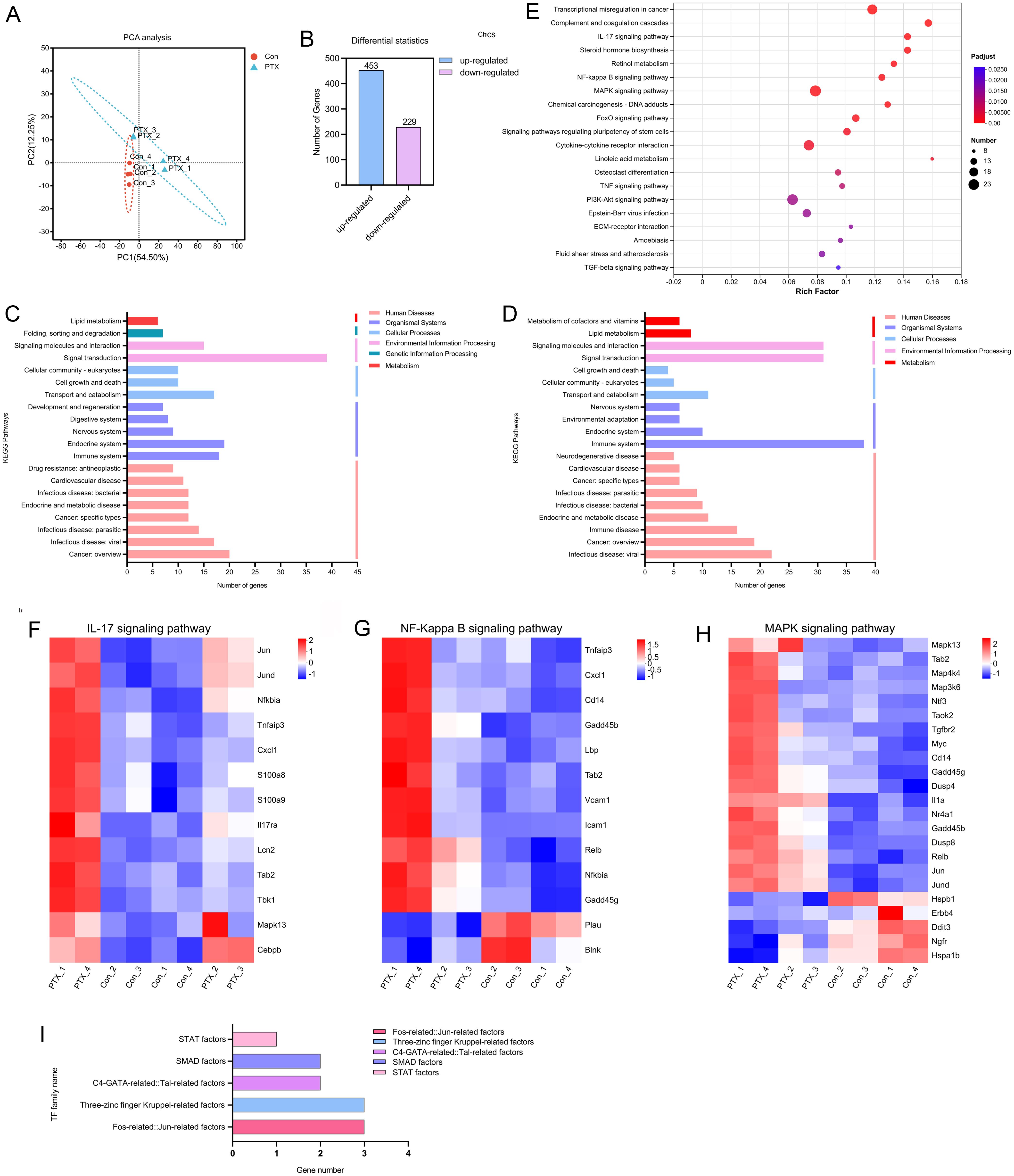 Differentially expressed genes (DEGs) in the liver tissues of PTX-treated (PTX) mice and control (Con) mice.