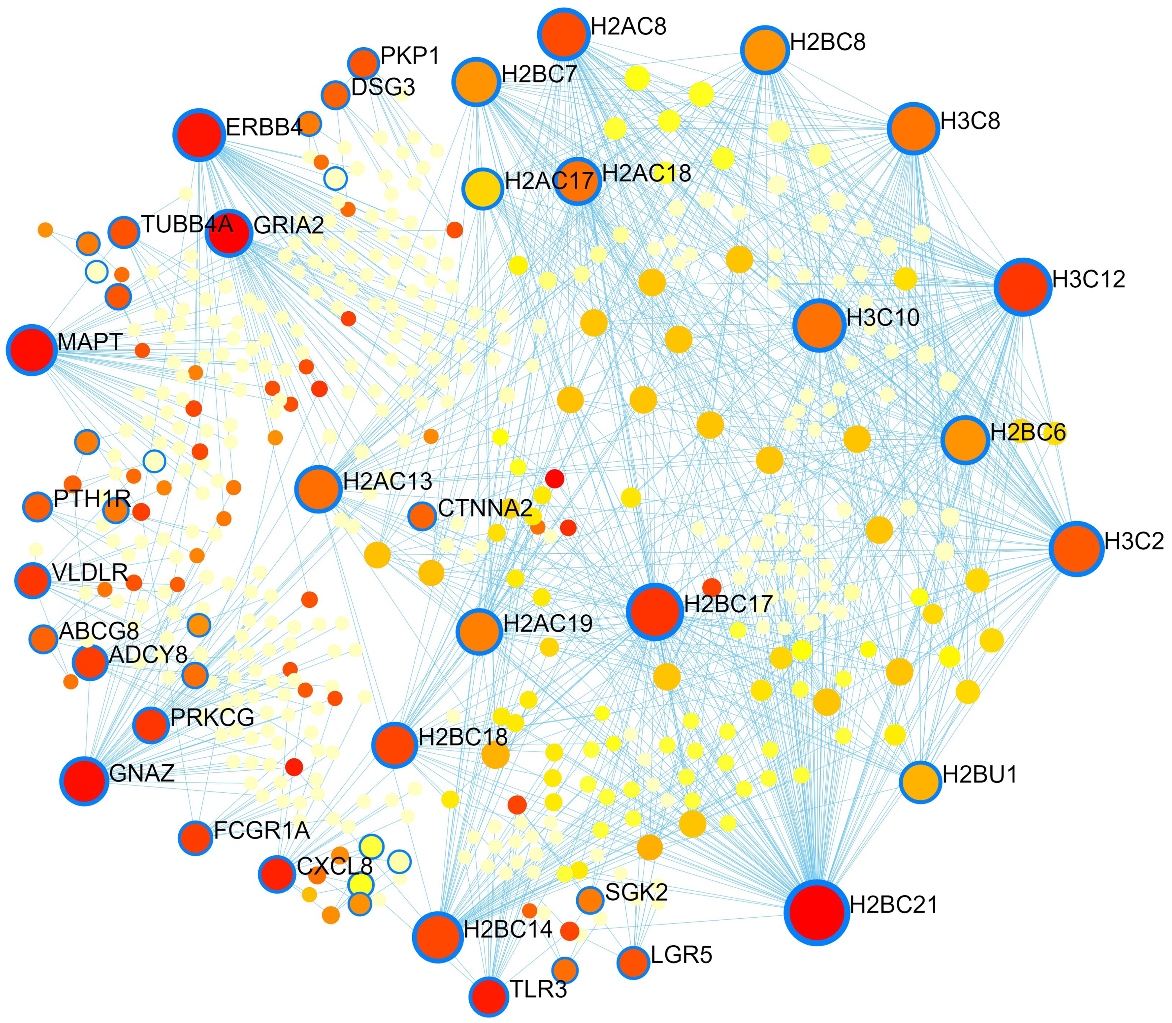 PPI network of the top 100 upregulated and top 100 downregulated genes identified in GC.