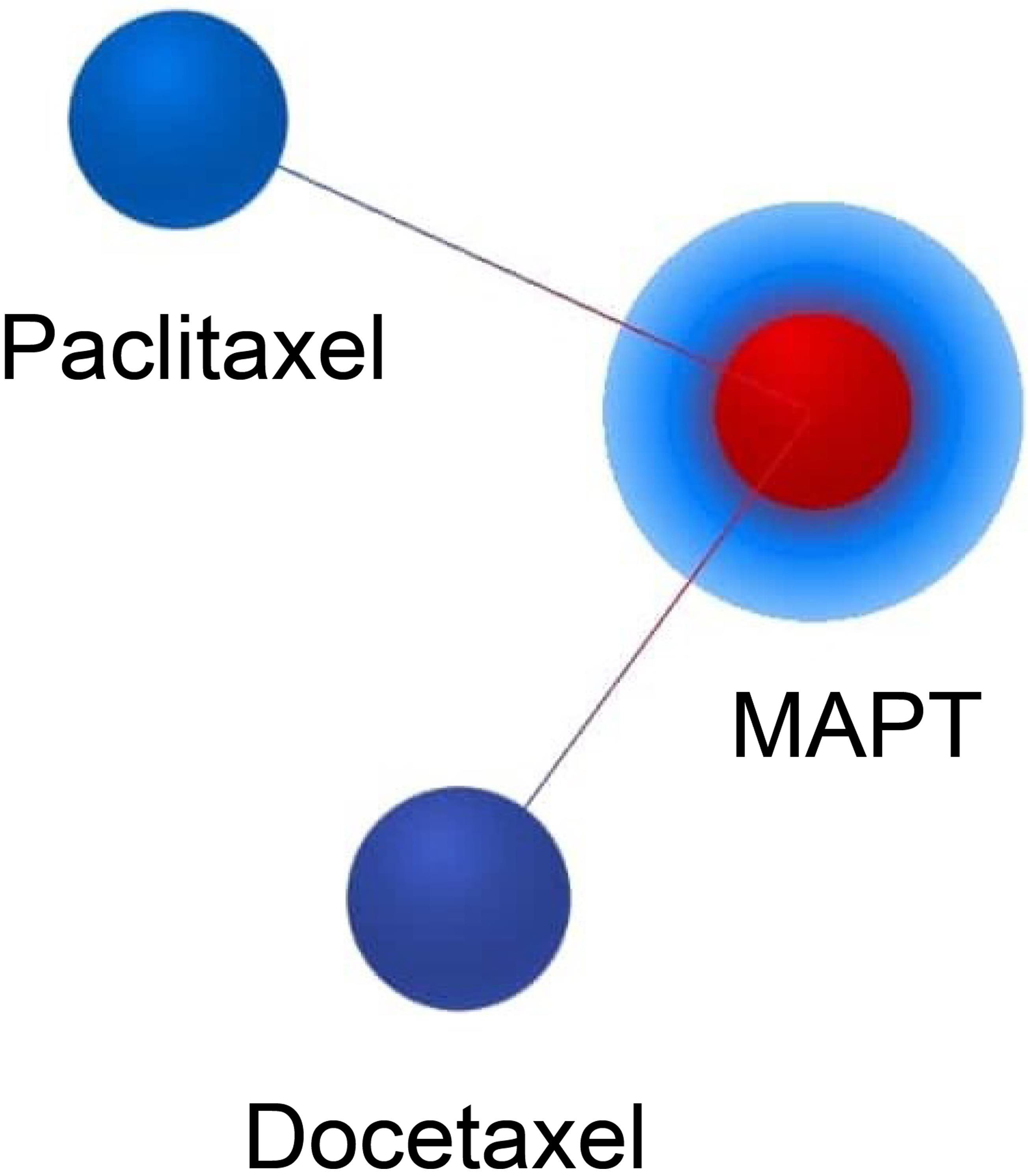 Protein-drug Interactions analysis with the products of <italic>MAPT</italic> hub genes.