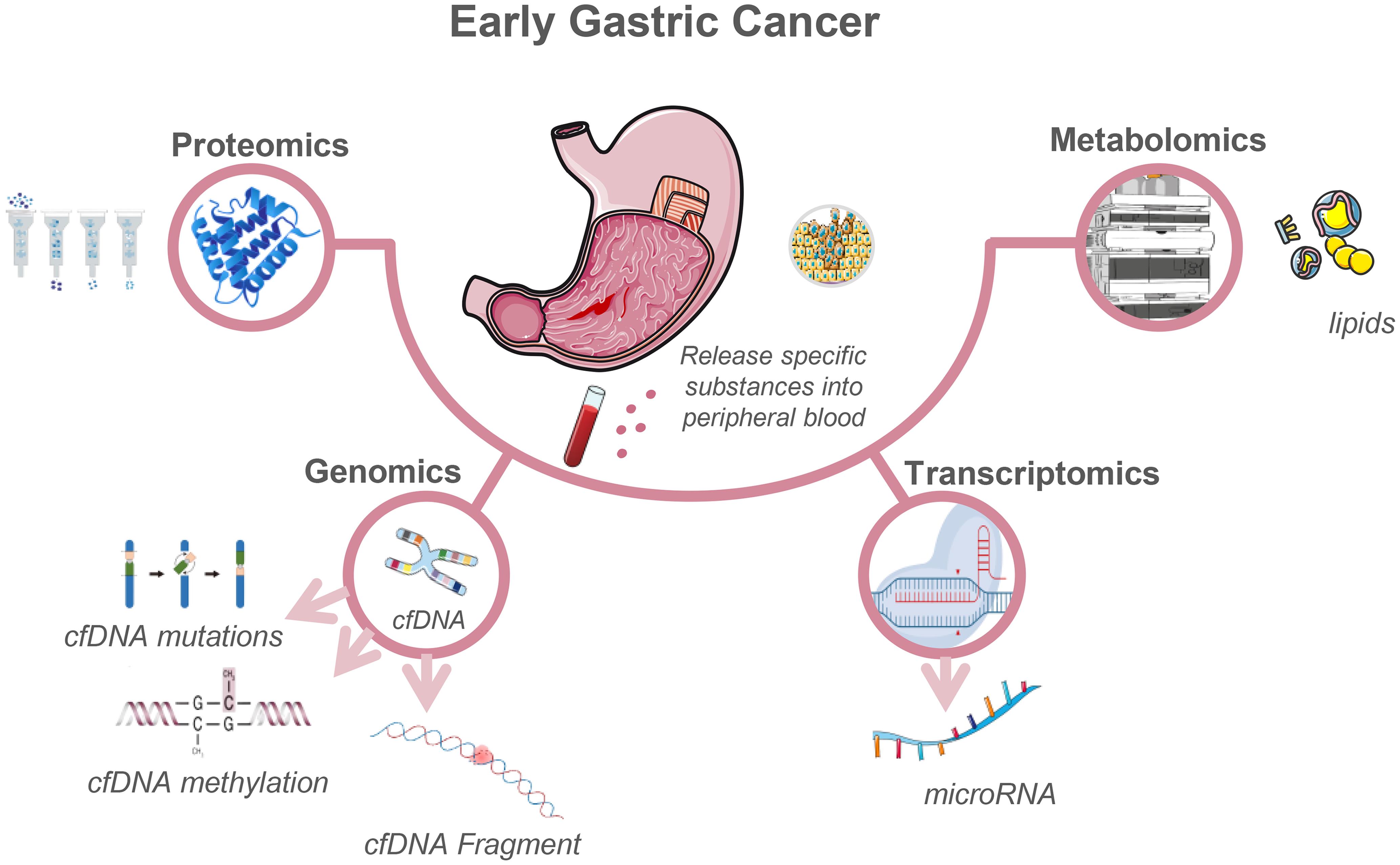 Early gastric cancer is associated with circulating genomic, transcriptomic, proteomic, and metabolomic signals that may be captured using multi-omics technologies for non-invasive detection.