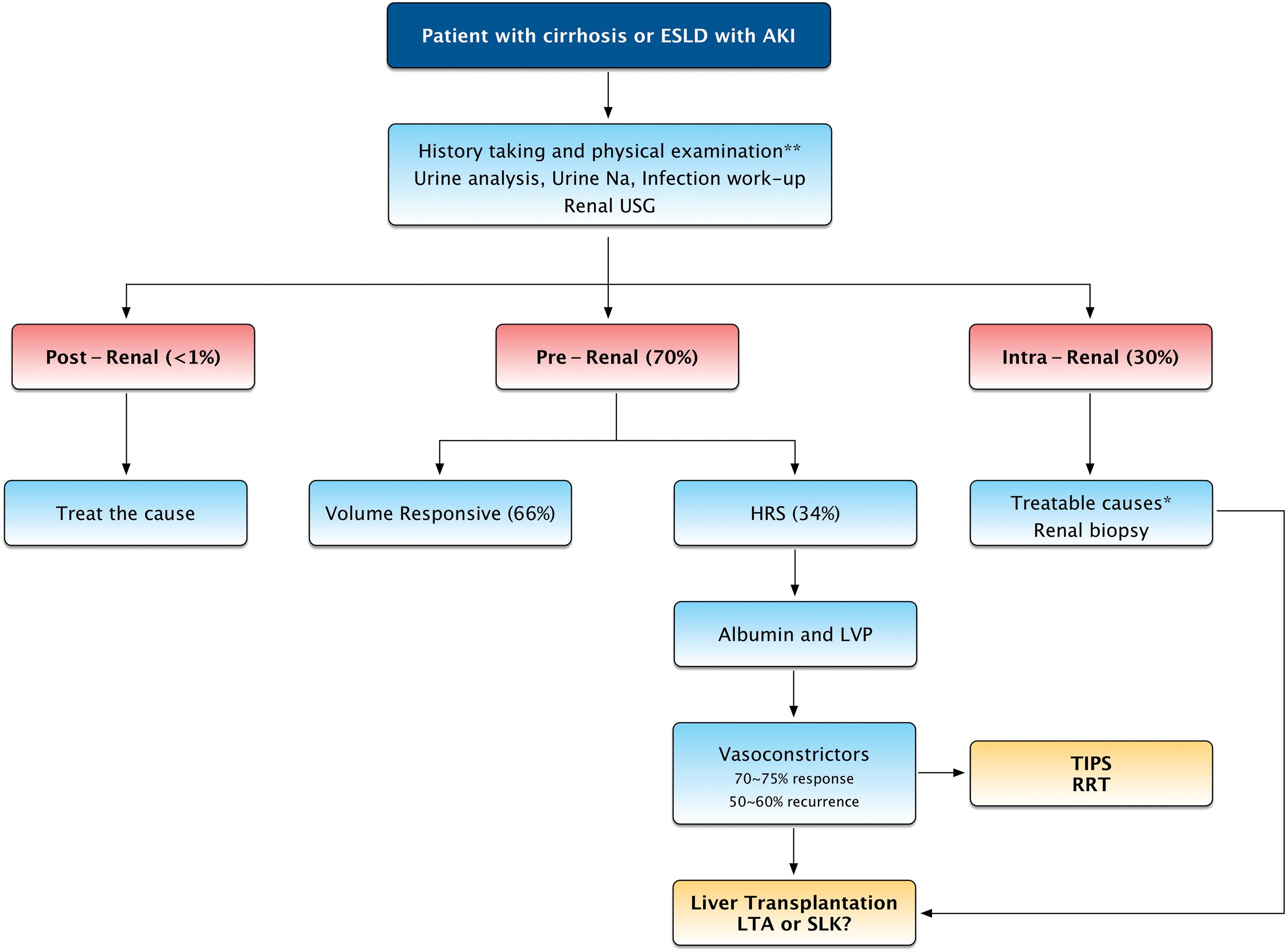 Management approach and algorithm for acute kidney injury in patients with cirrhosis.