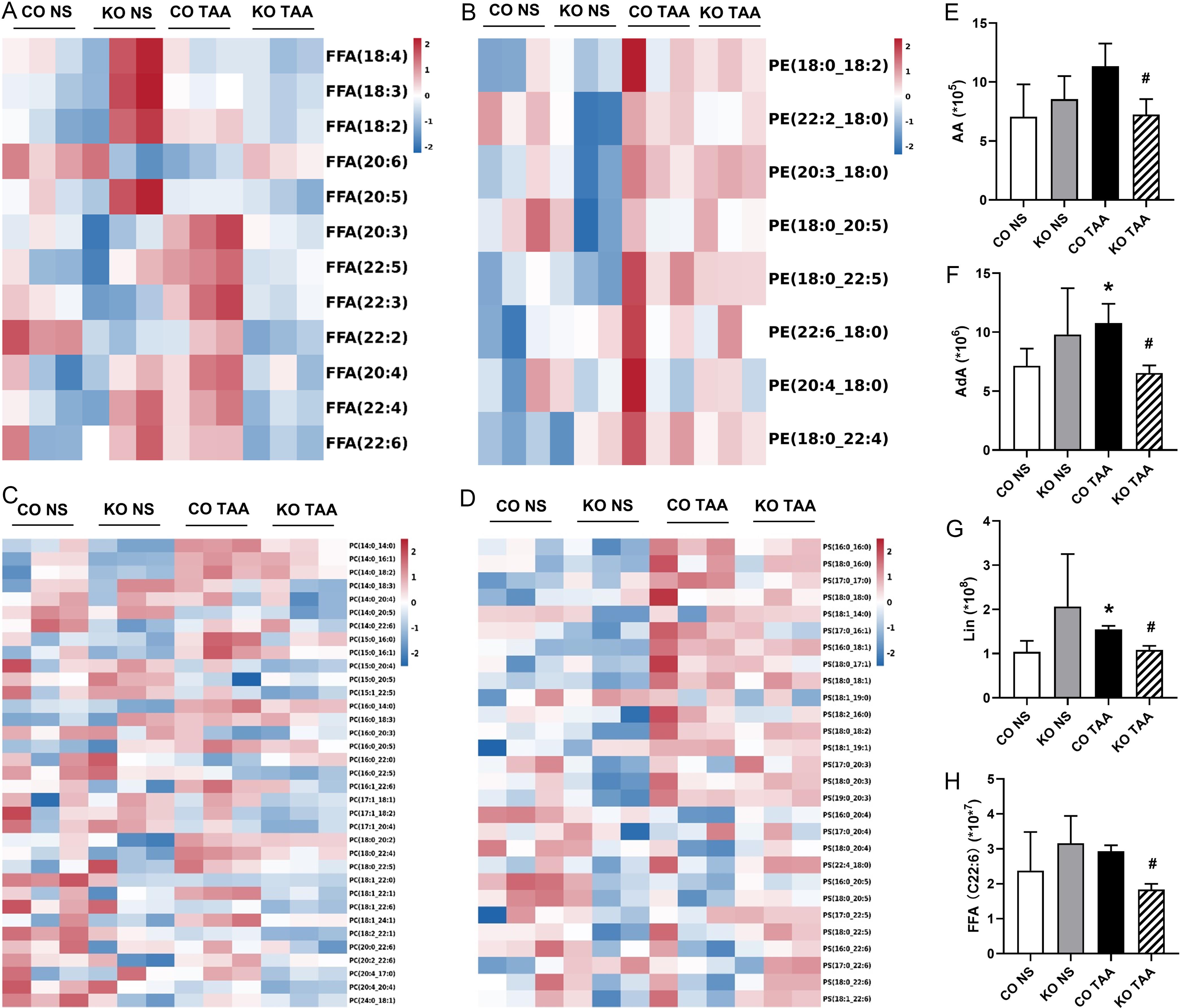 Lipid metabolomics of mouse livers.