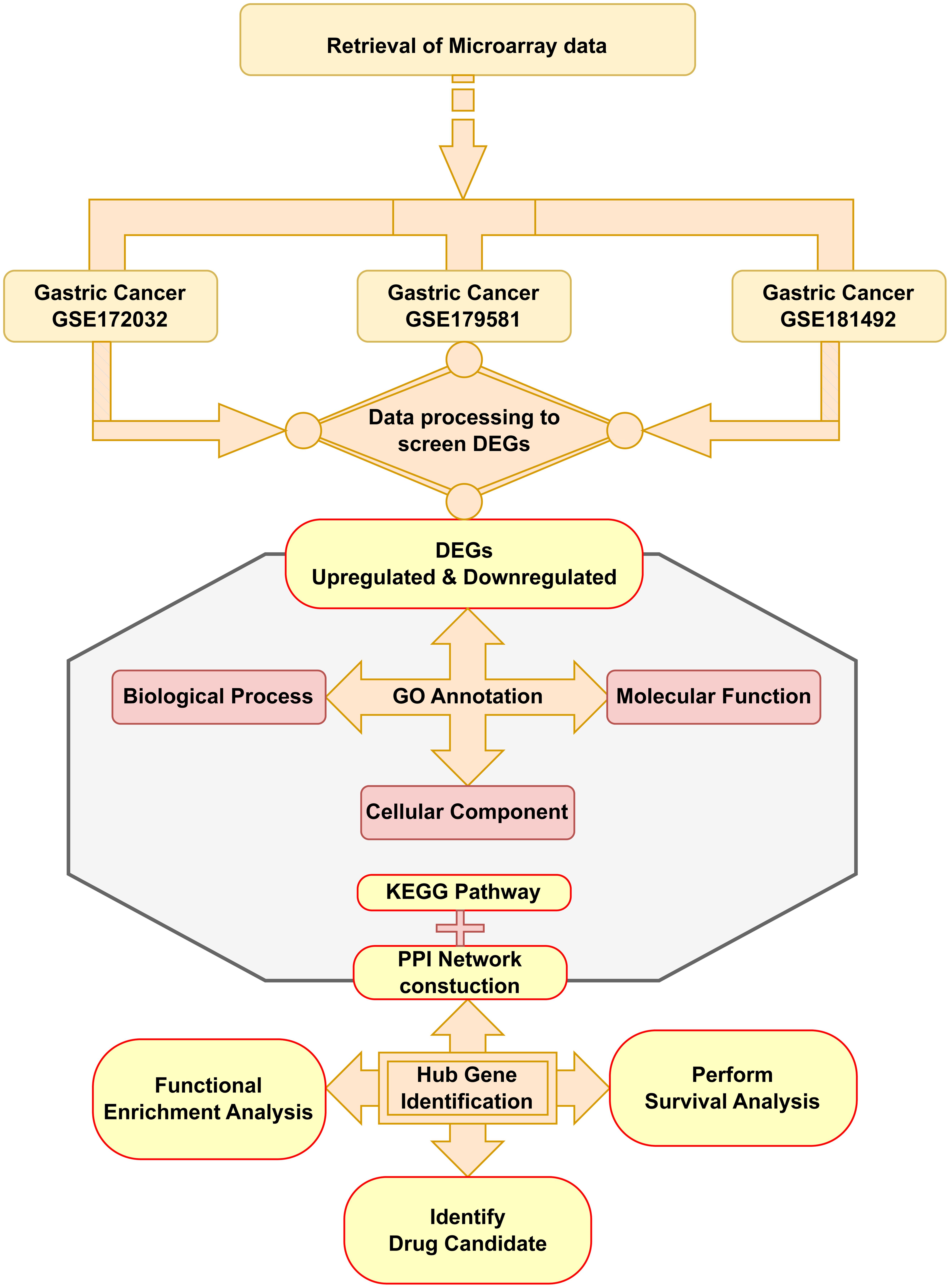 The complete workflow followed to identify DEGs and to perform their <italic>in-silico</italic> analysis.