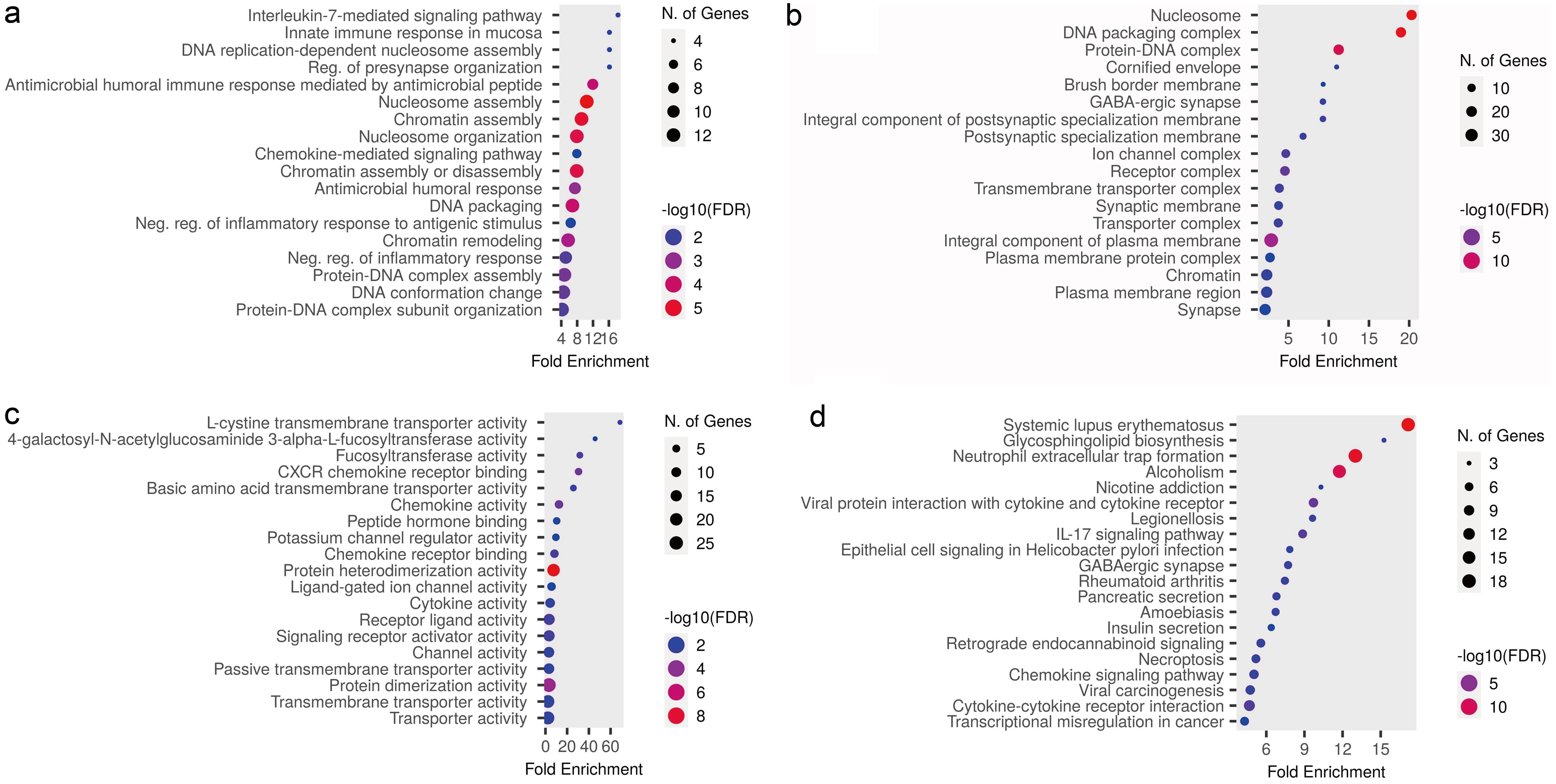Functional enrichment analysis of DEGs in GC.