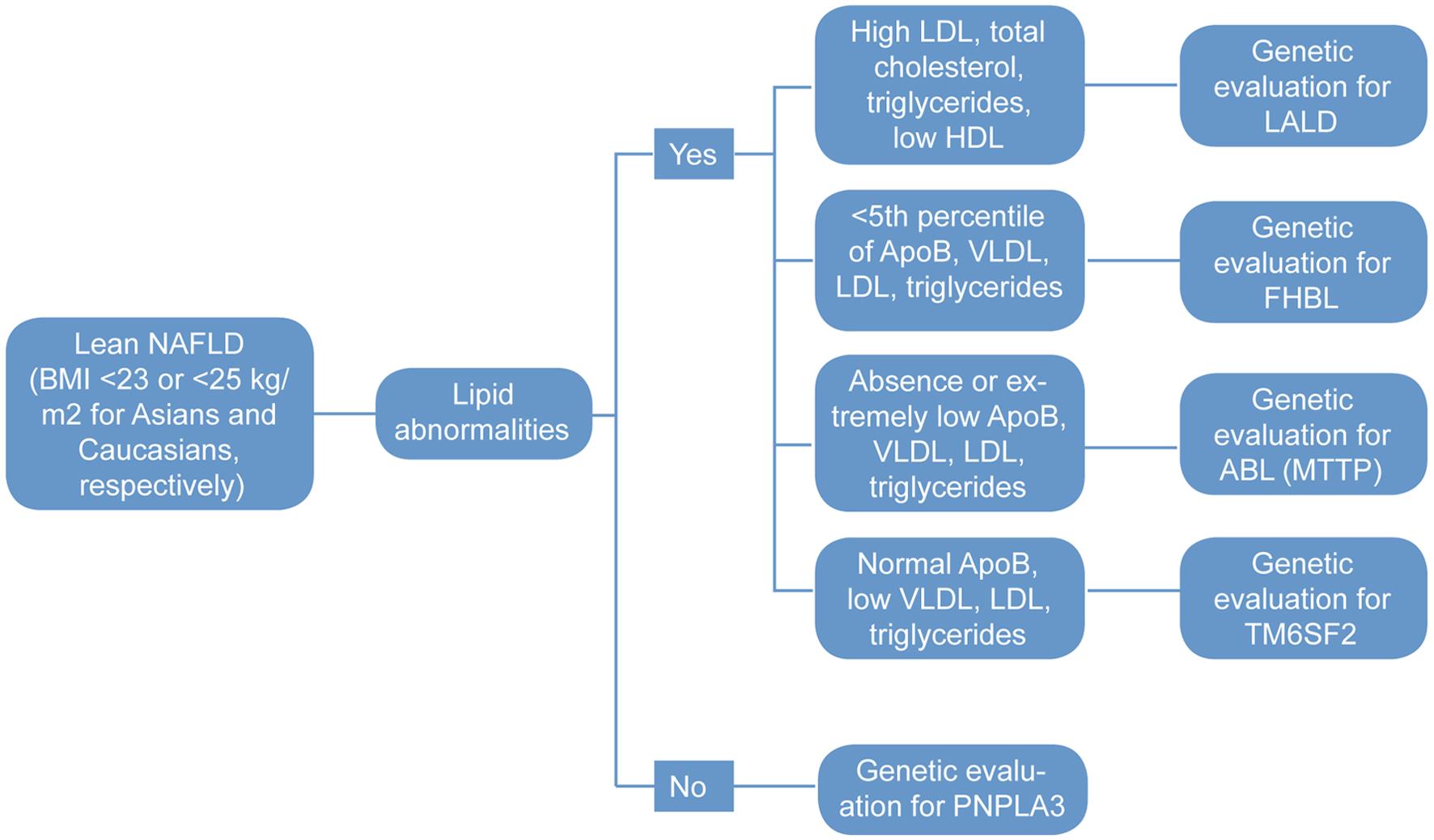 Algorithm for the diagnosis of genetic causes of lean NAFLD.