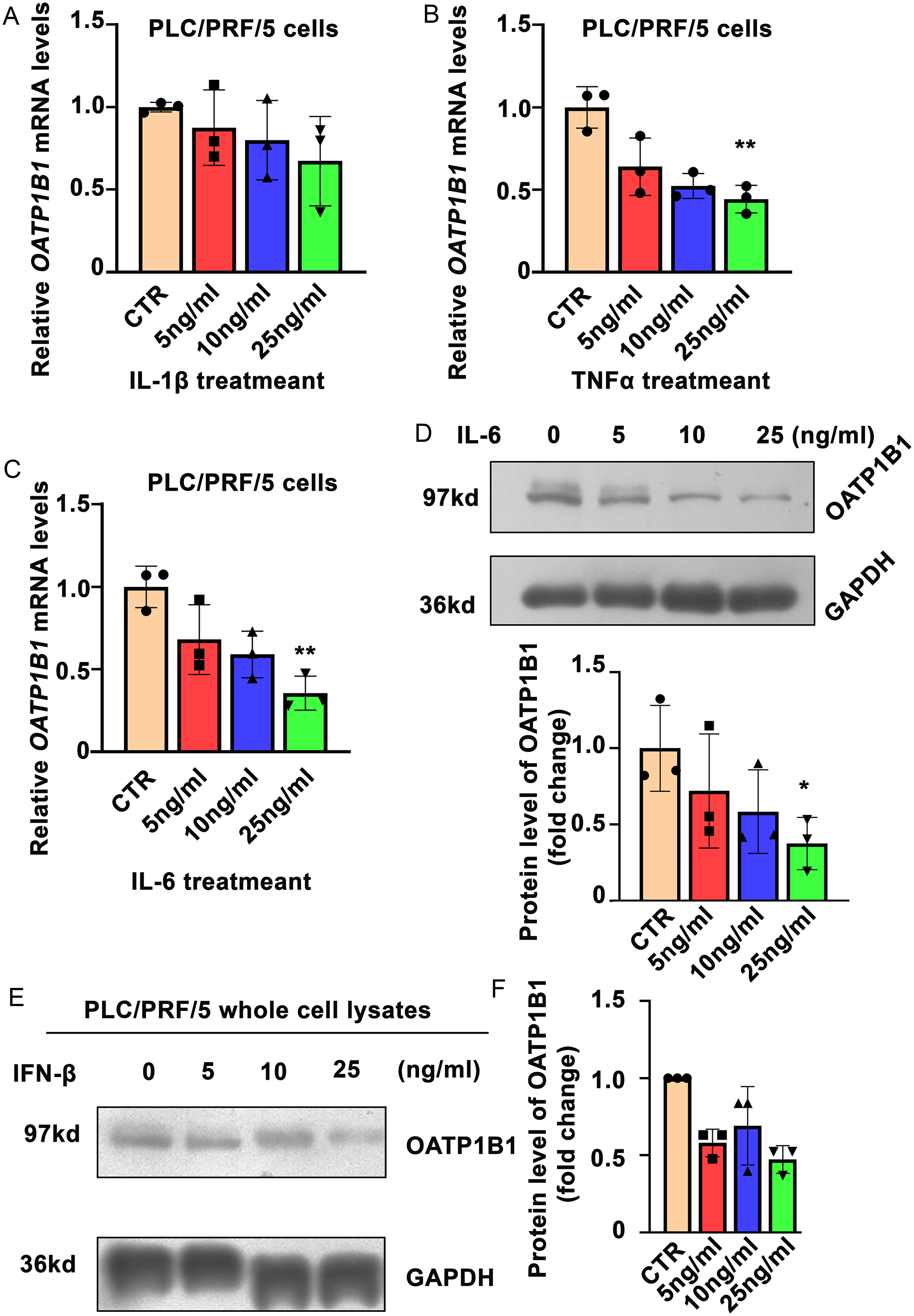 IL-6 induced the down-regulation of OATP1B1.