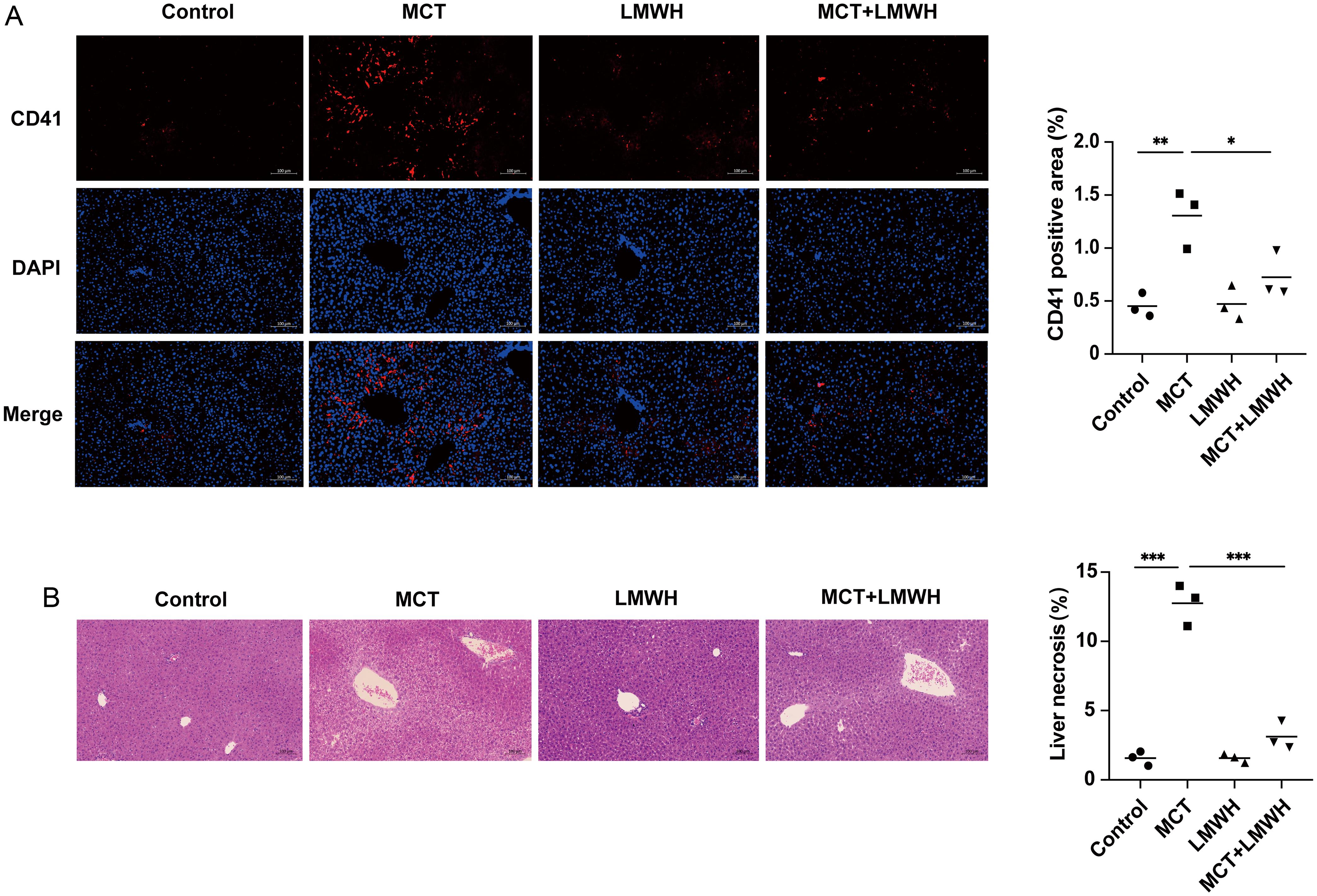 LMWH treatment mitigates hepatic platelet accumulation.