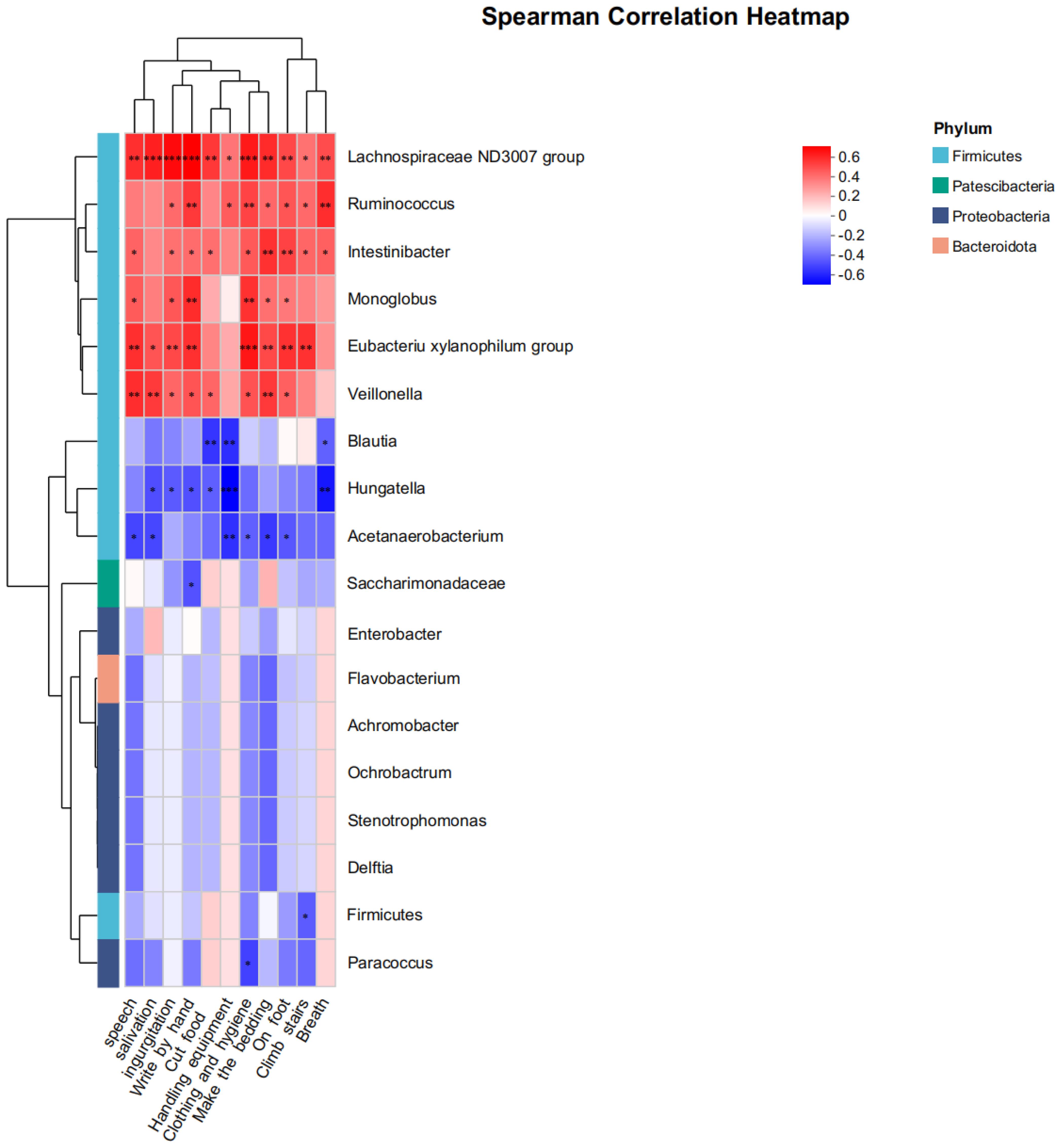 Correlation heatmap analysis chart at different levels.