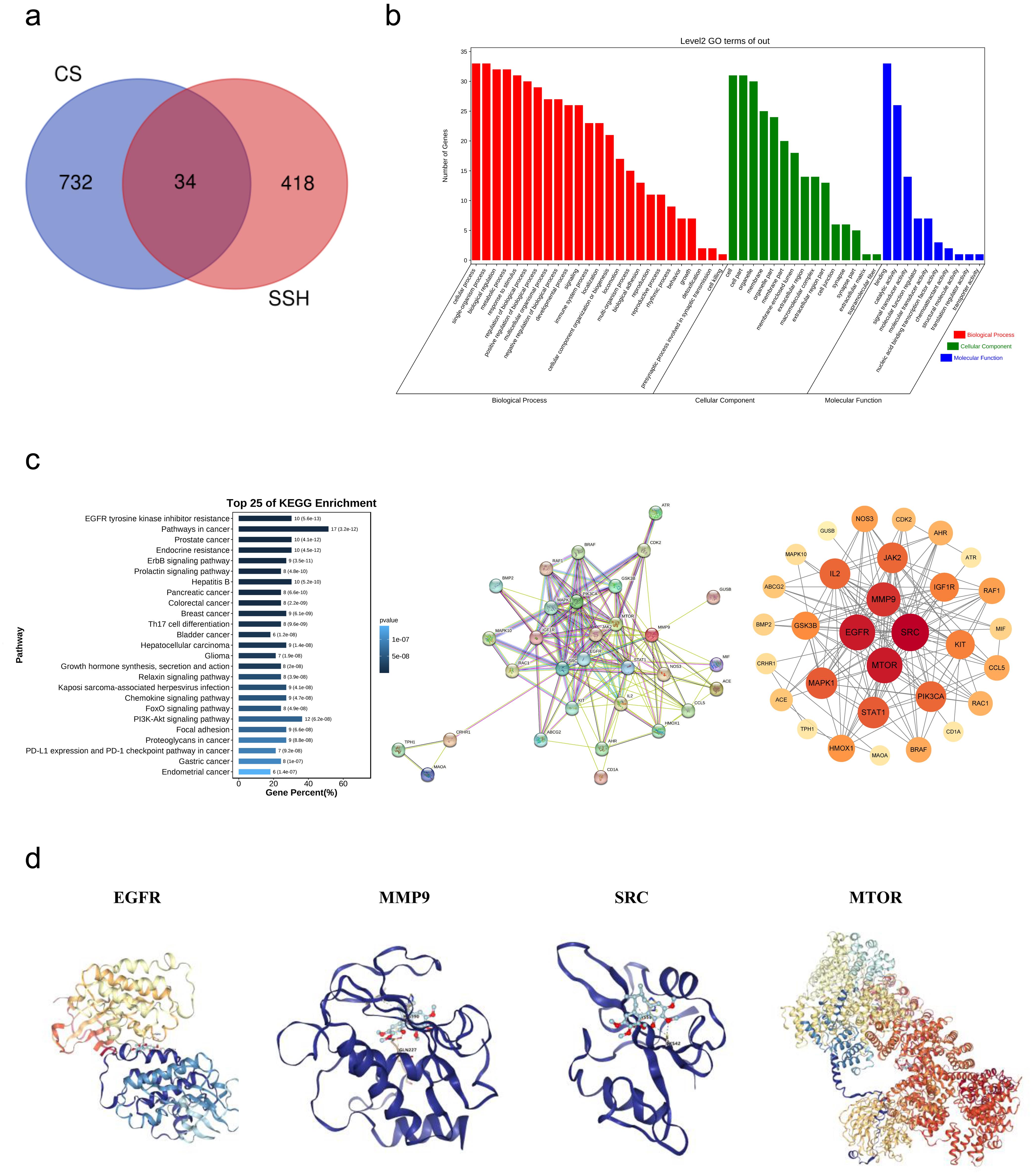 SSH reduced the inflammatory response through multiple signaling pathways.