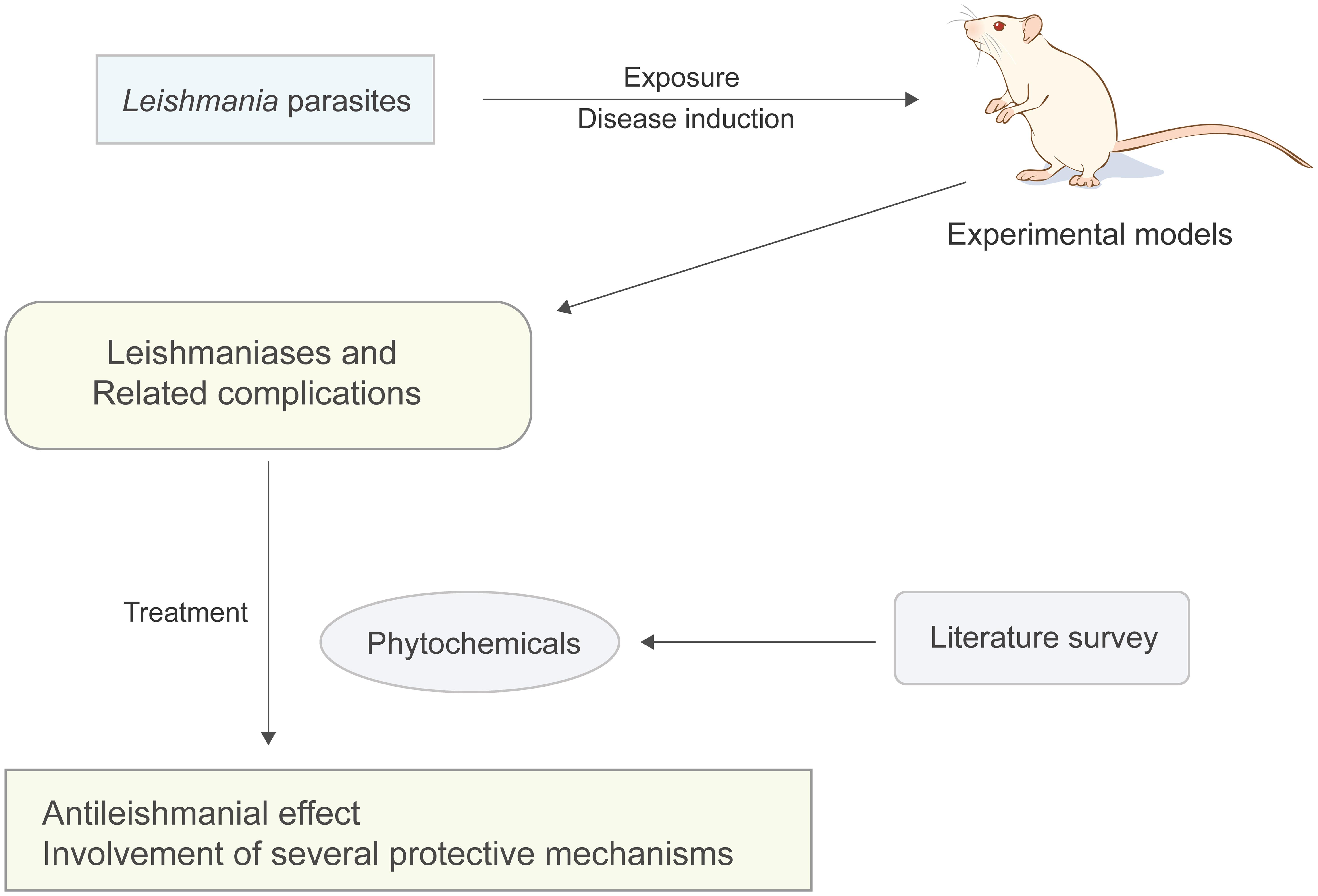 Literature study on medicinal plant-derived constituents against leishmaniasis.