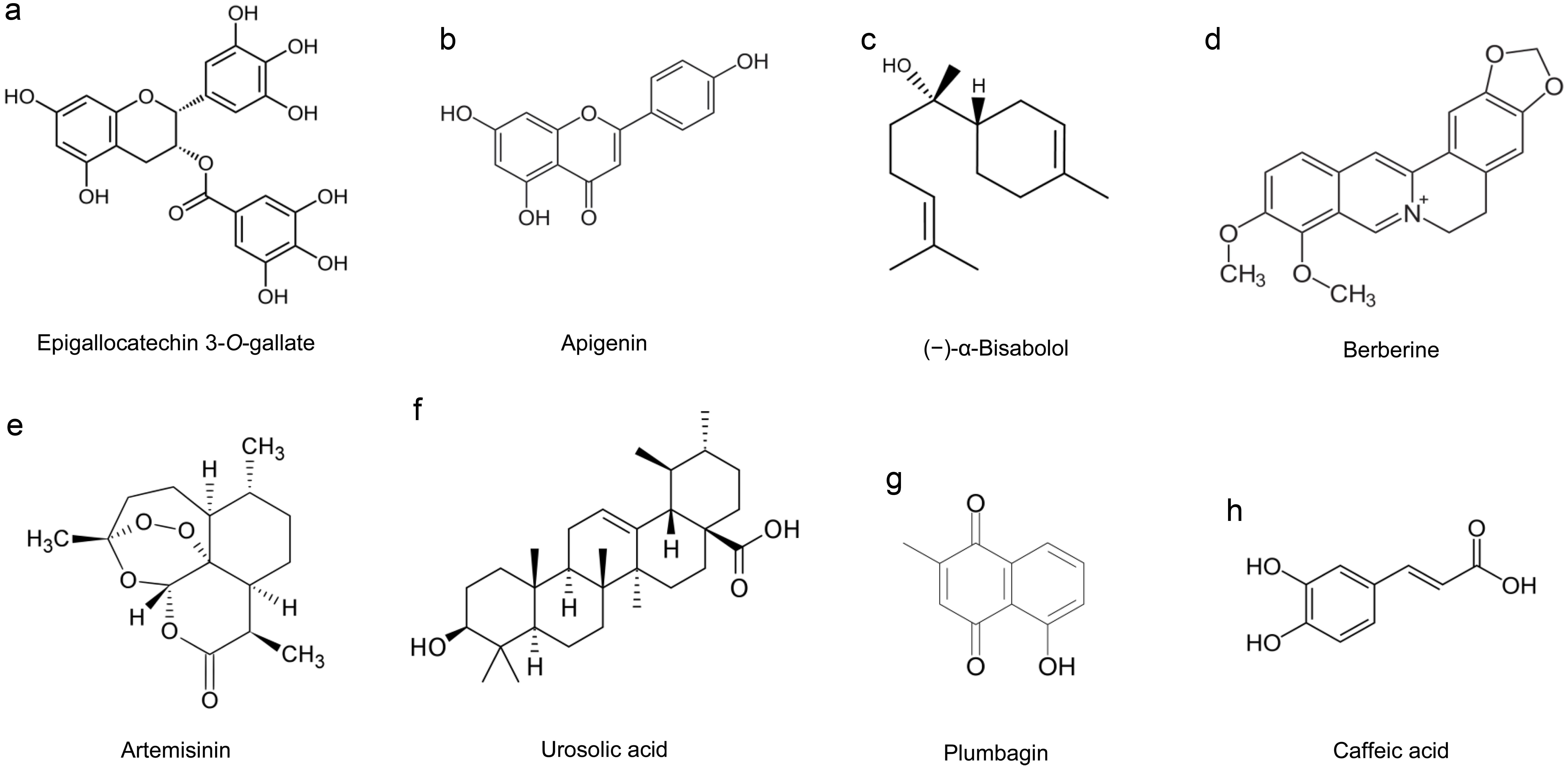 Some antileishmanial natural constituents obtained from medicinal plants.
