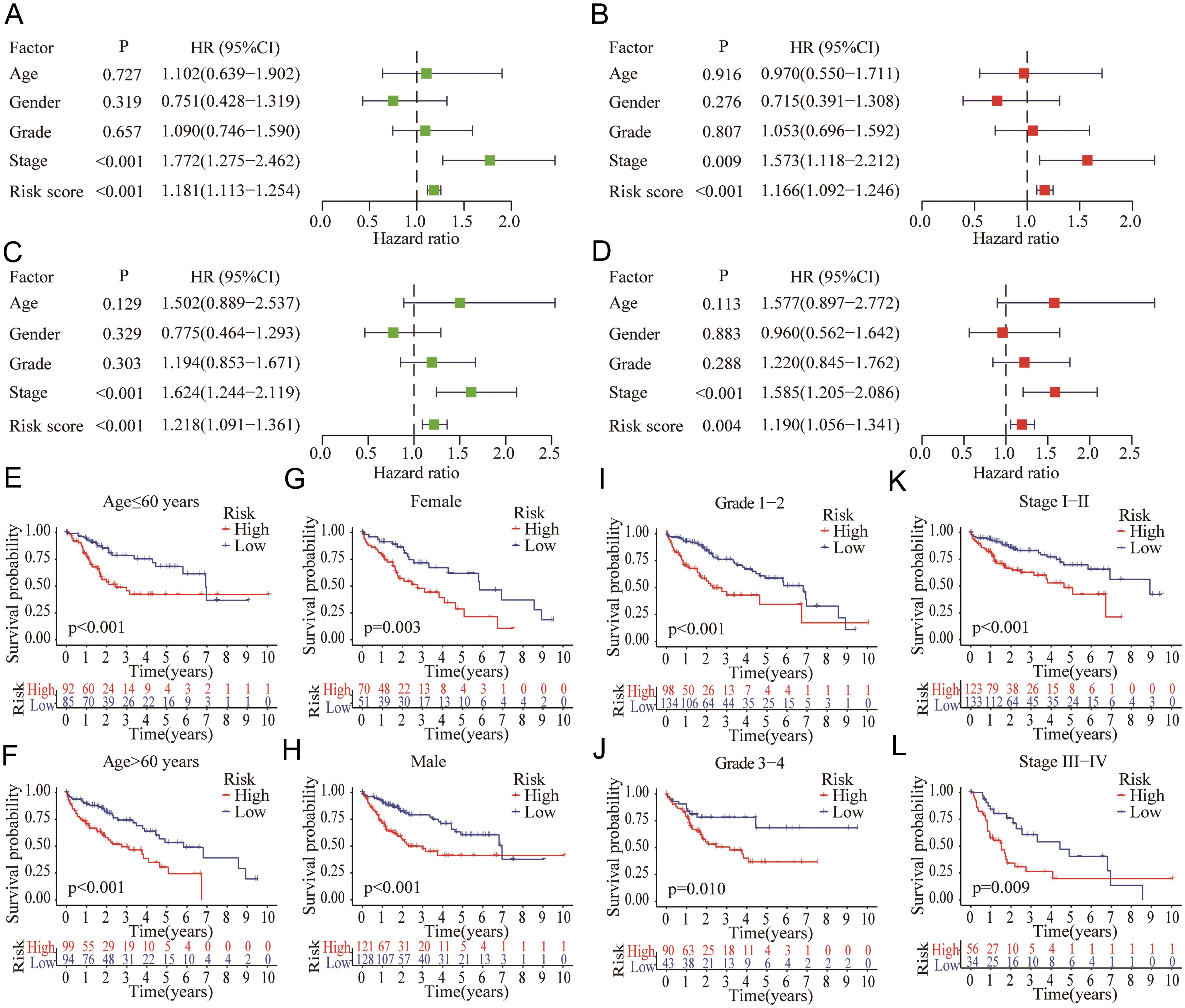 Evaluation of the independent prognostic significance of the novel risk score model based on m<sup>6</sup>A-related lncRNAs in HCC.