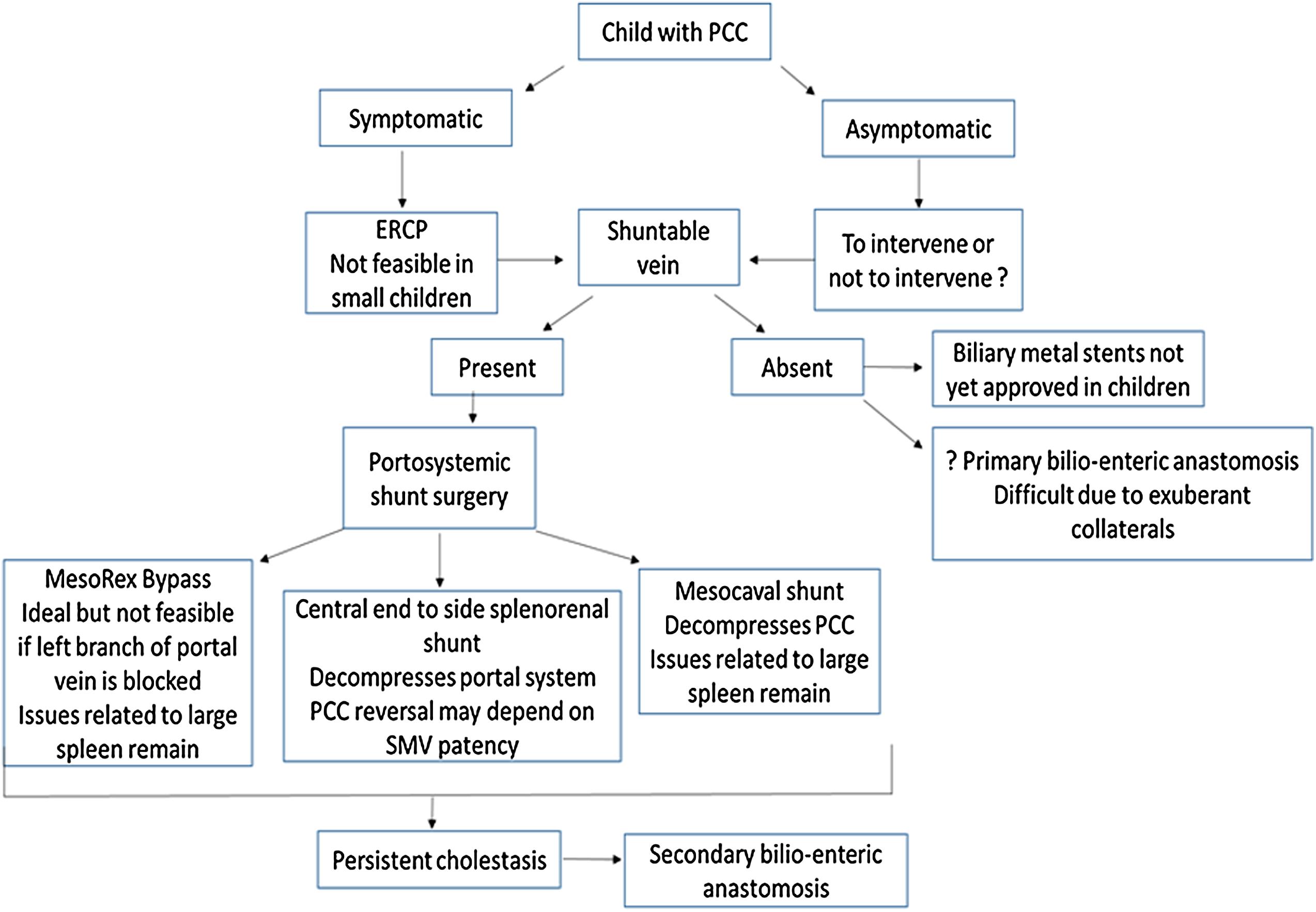 Summary of management dilemmas of portal cavernoma cholangiopathy in children.