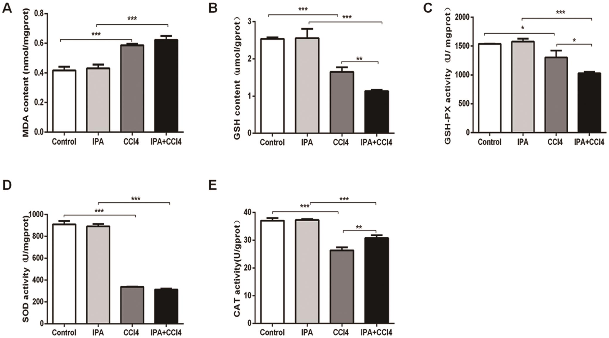 Effect of IPA intervention on CCl<sub>4</sub>-induced hepatic oxidative stress in mice.