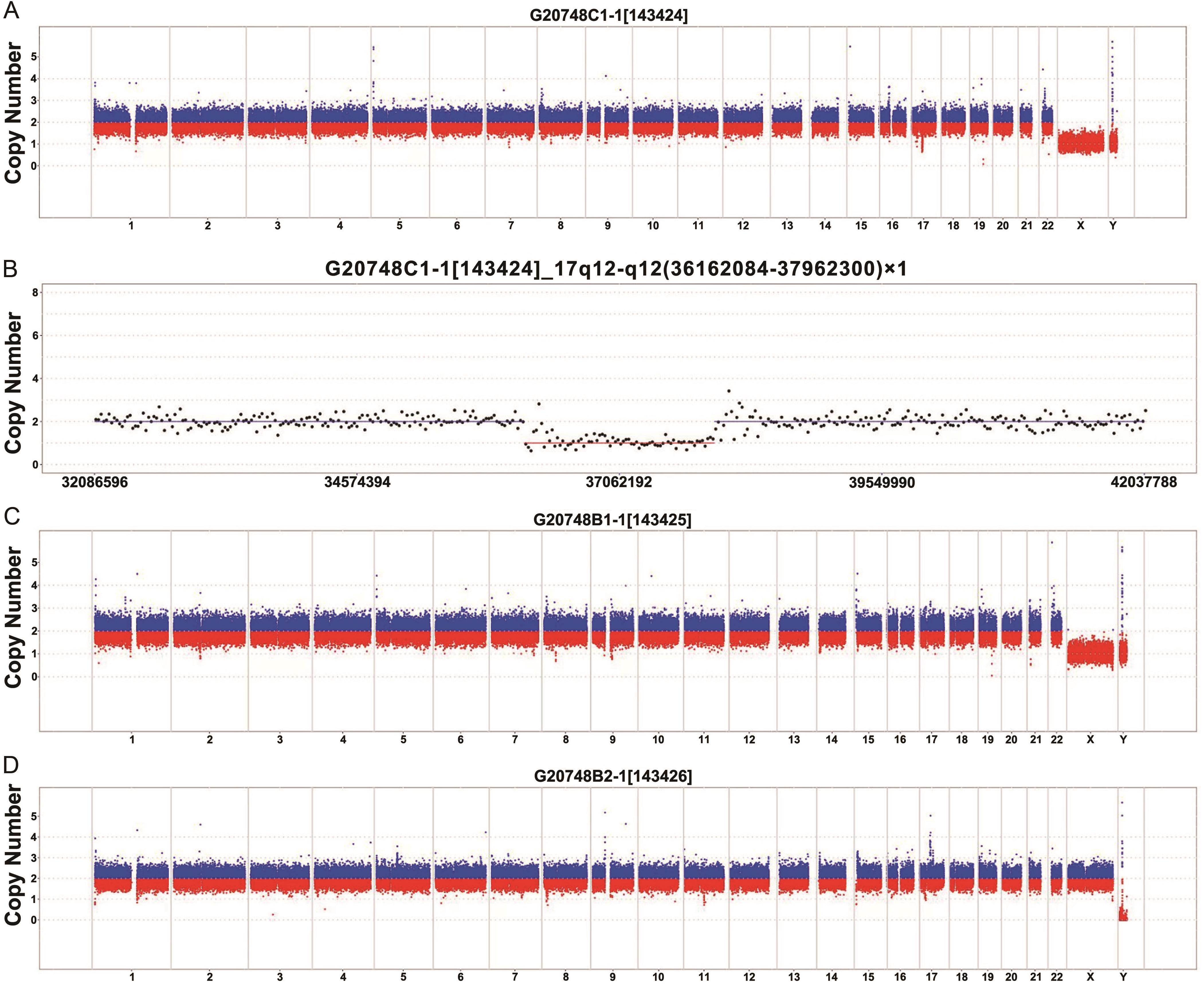 Verification of copy number variation sequencing on pathogenic deficiency of <italic>HFN1B</italic> gene.