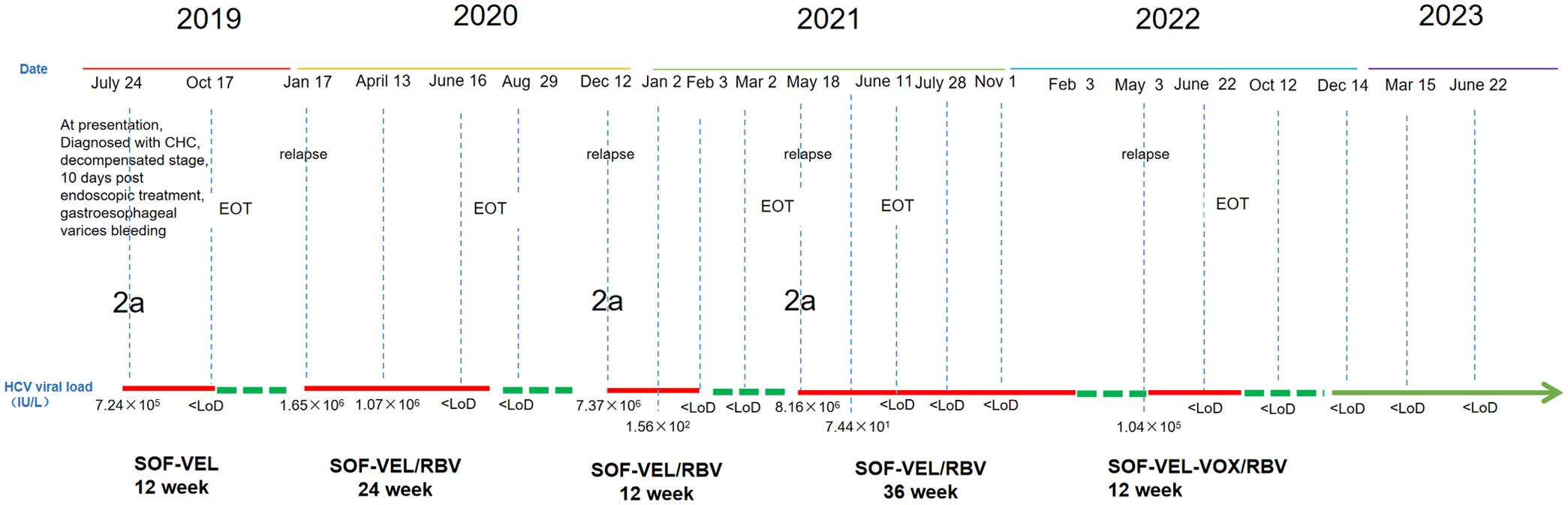 The treatment timeline of a drug-resistant patient.