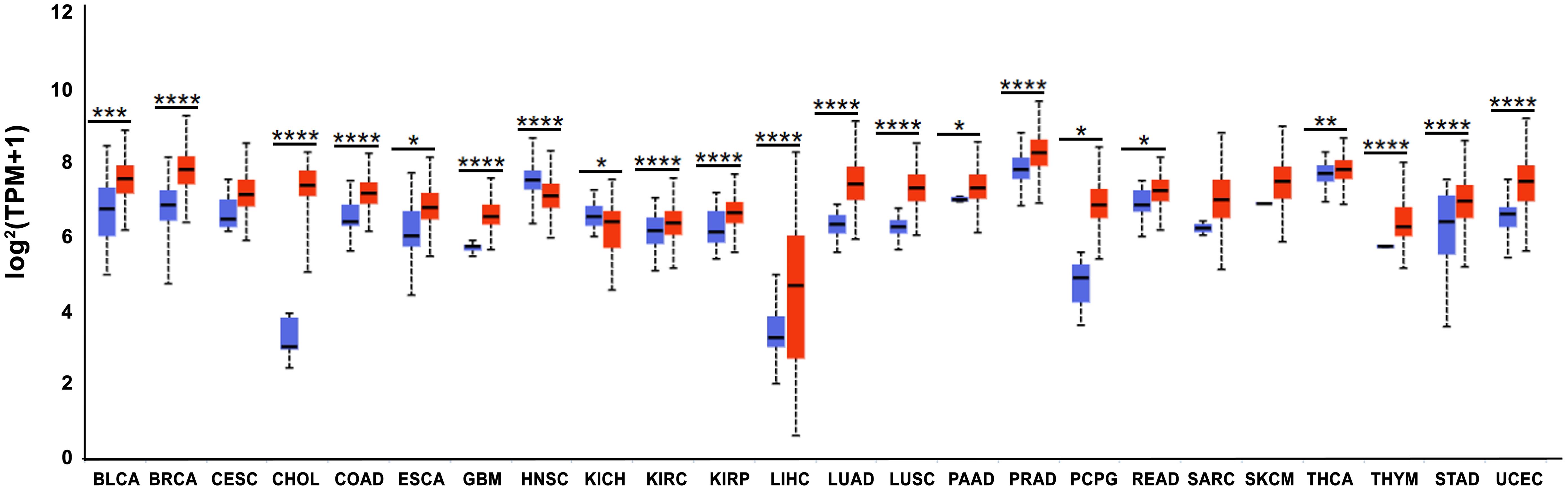<italic>TMED3</italic> transcript expression in tumor and corresponding normal tissues in UALCAN/TCGA.