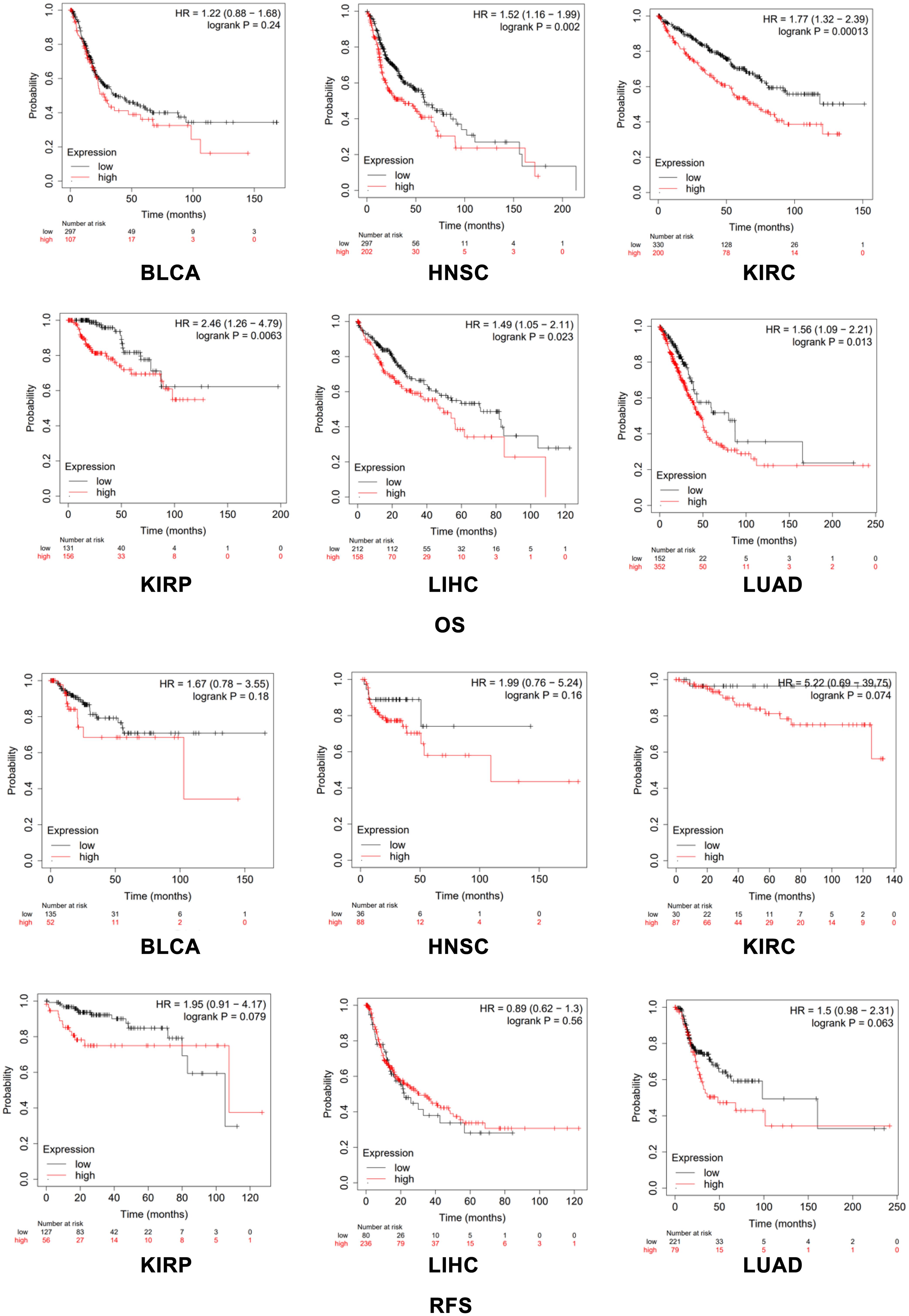 Association between <italic>TMED3</italic> expression and overall survival (OS) or recurrence-free survival (RFS) in different tumor subtypes.