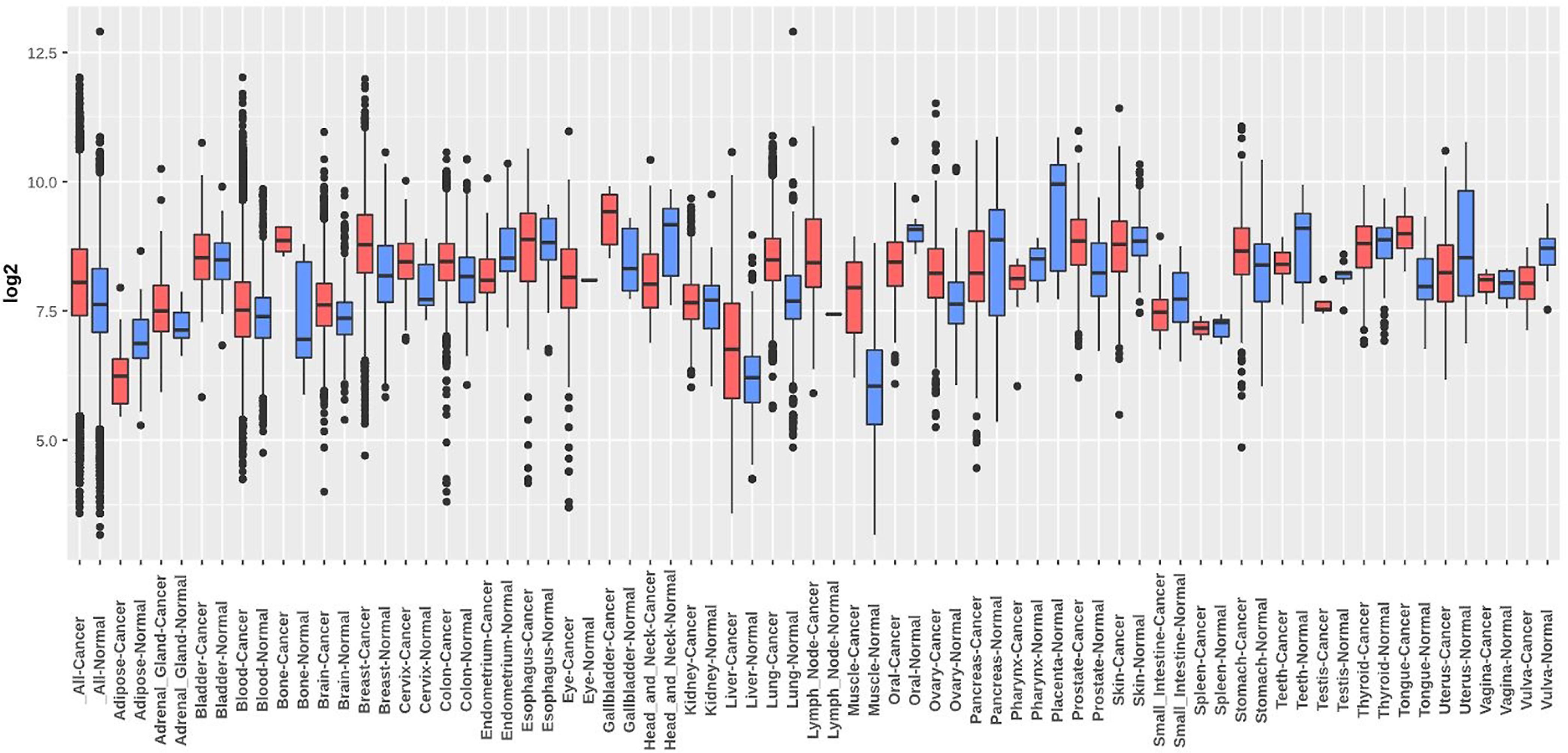 Validation of <italic>TMED3</italic> transcriptional expression in BLCA, HNSC, KIRC, KIRP, LIHC, and LUAD using the GENT2 database.