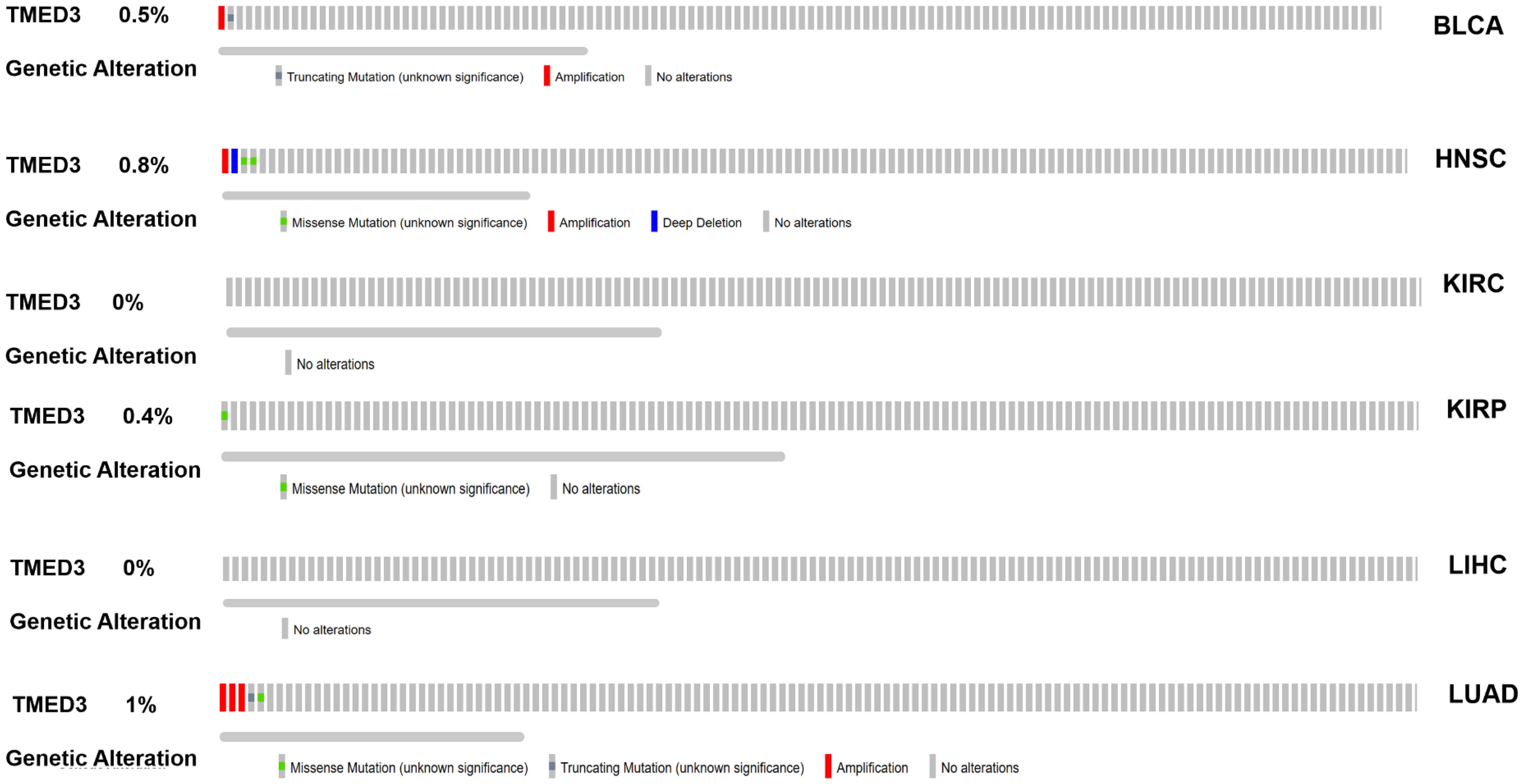 cBioPortal OncoPrint of <italic>TMED3</italic> genomic alterations in TCGA BLCA, HNSC, KIRC, KIRP, LIHC, and LUAD cohorts.