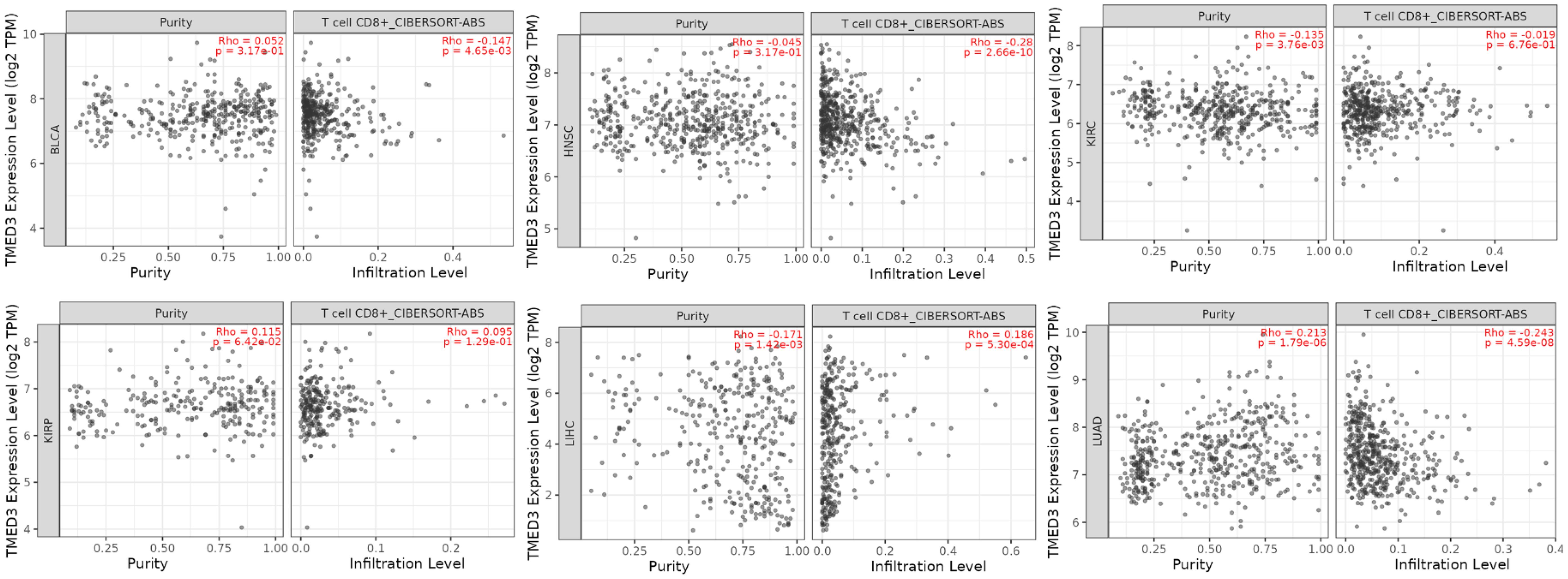Correlation between <italic>TMED3</italic> expression and estimated CD8<sup>+</sup> T-cell infiltration in TIMER2.0 for BLCA, HNSC, KIRC, KIRP, LIHC, and LUAD.
