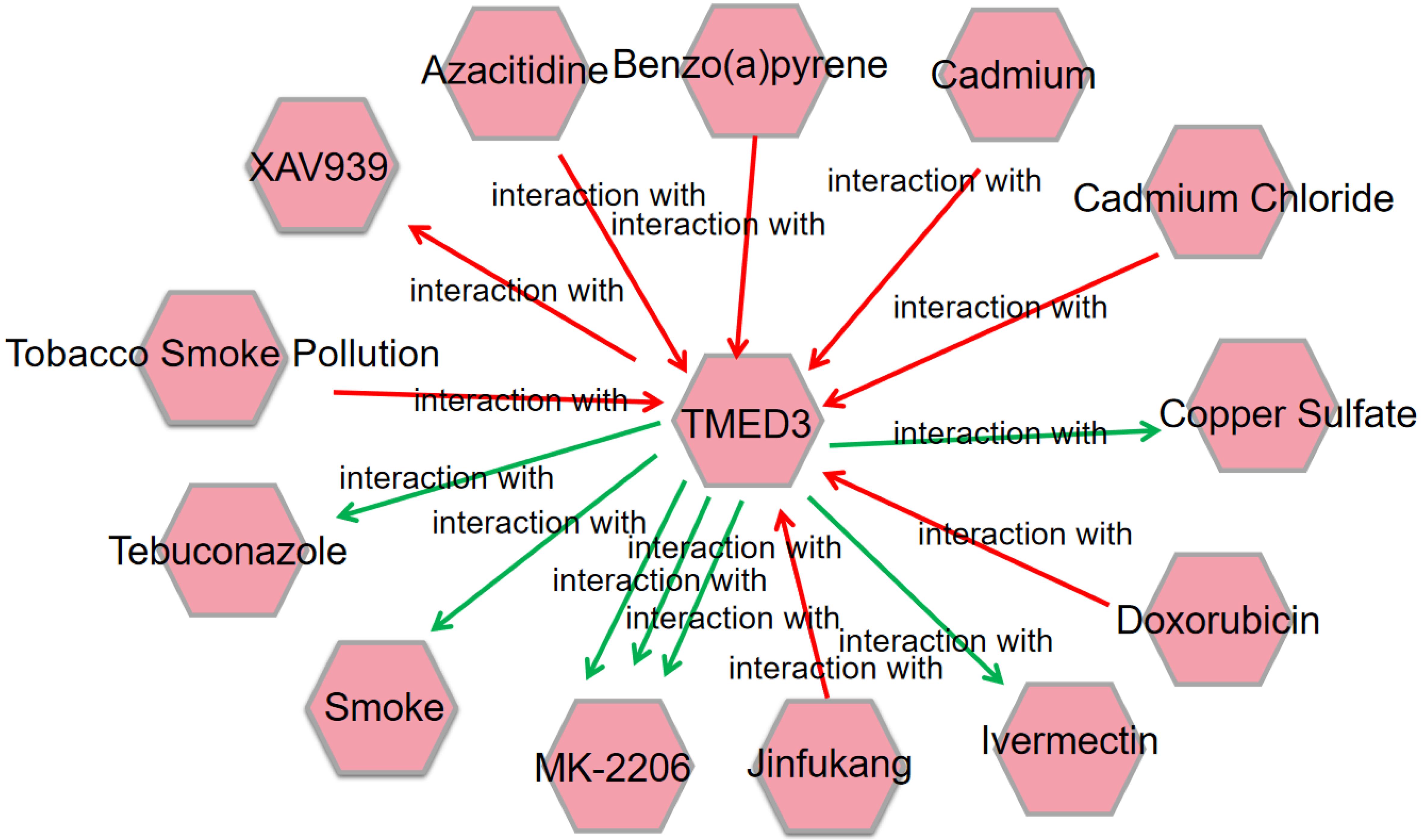 CTD-derived chemical-gene interaction network for <italic>TMED3</italic> visualized in Cytoscape.