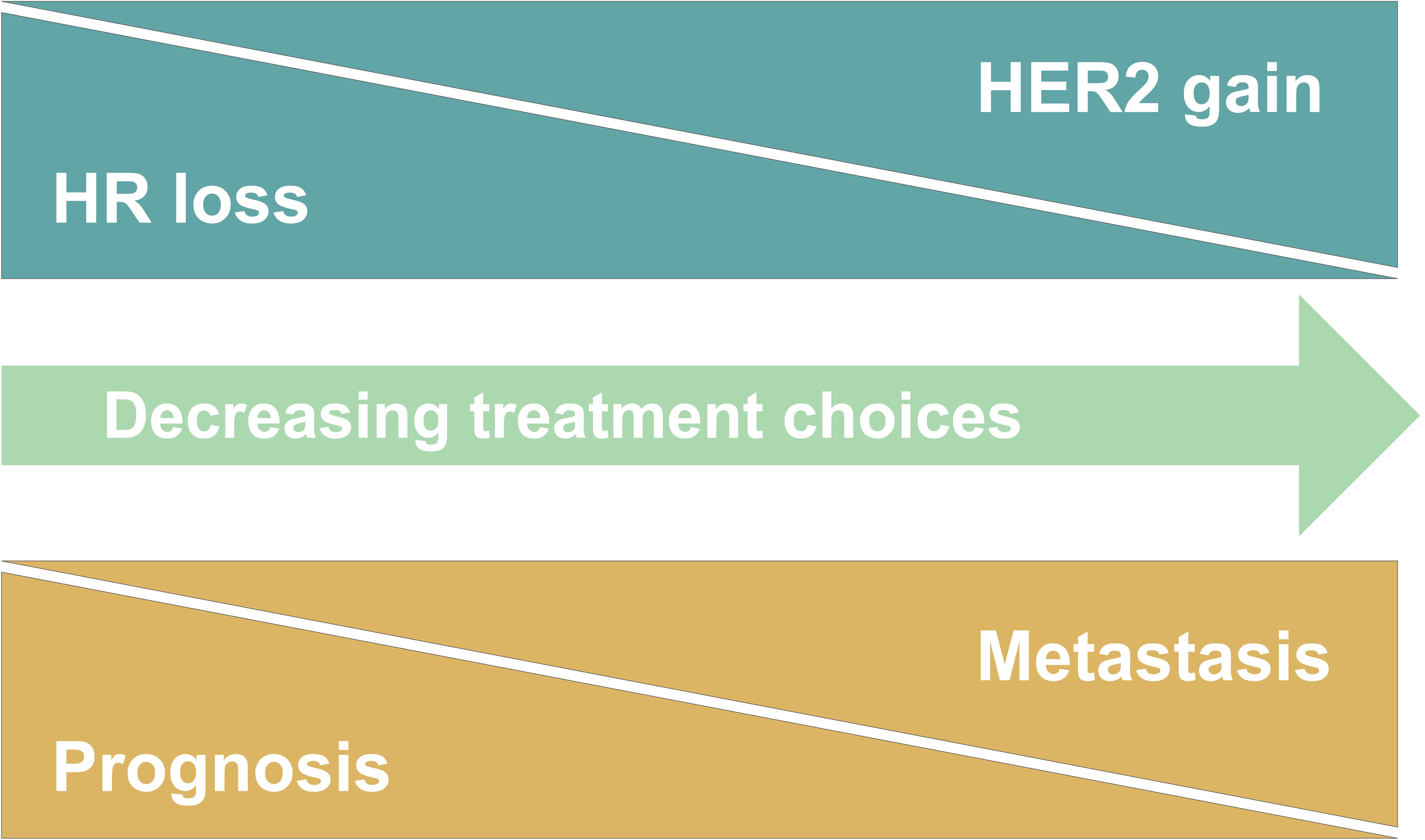 Breast cancer receptor status and its impact on therapy, metastasis, and prognosis.