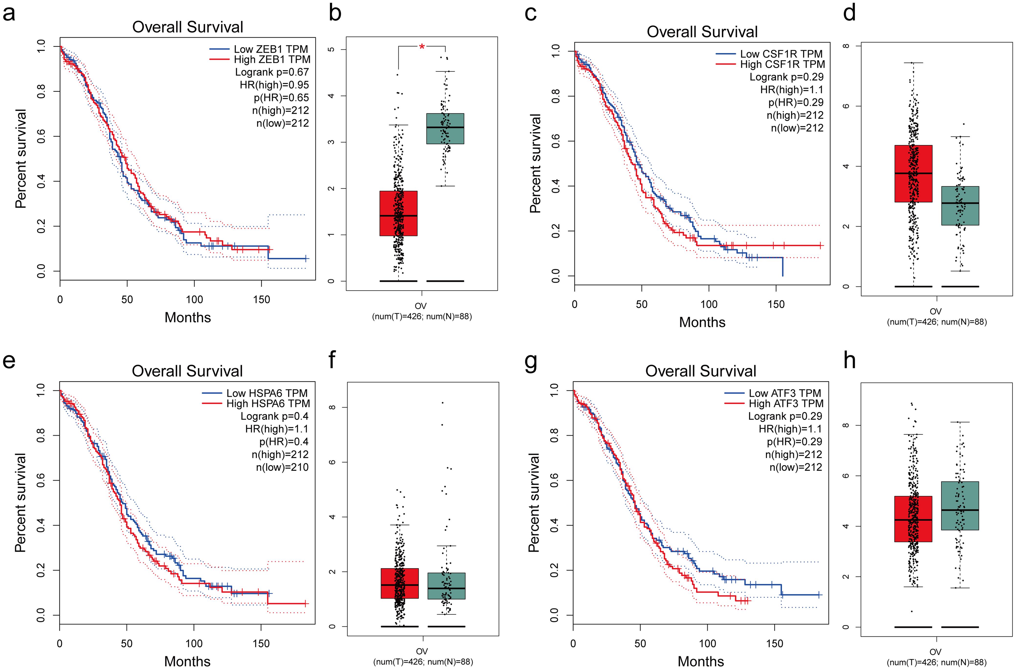 The overall survival and expression patterns of candidate proteins in the clinical data.