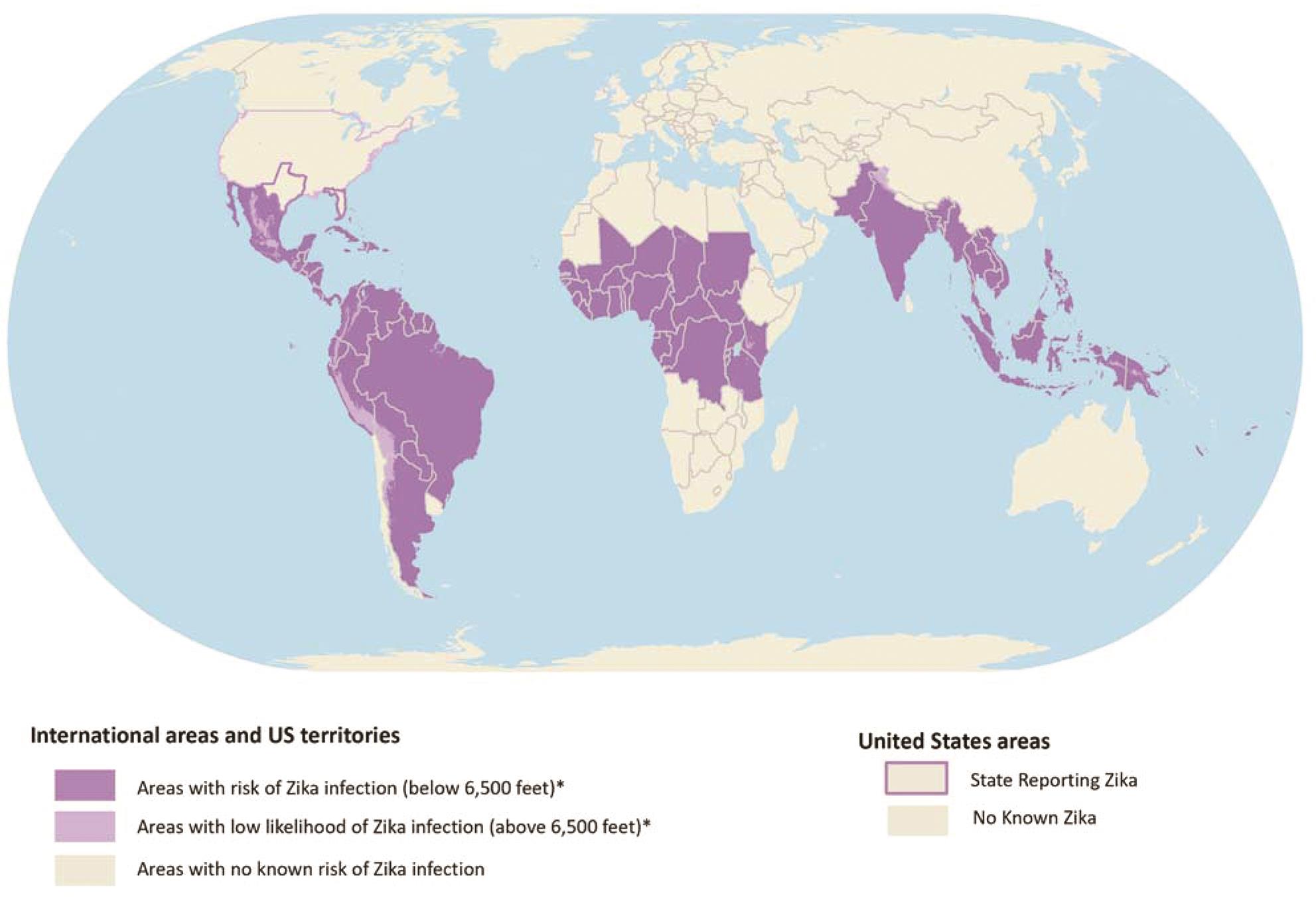 The Epidemic That Shook The World—the Zika Virus Rampage