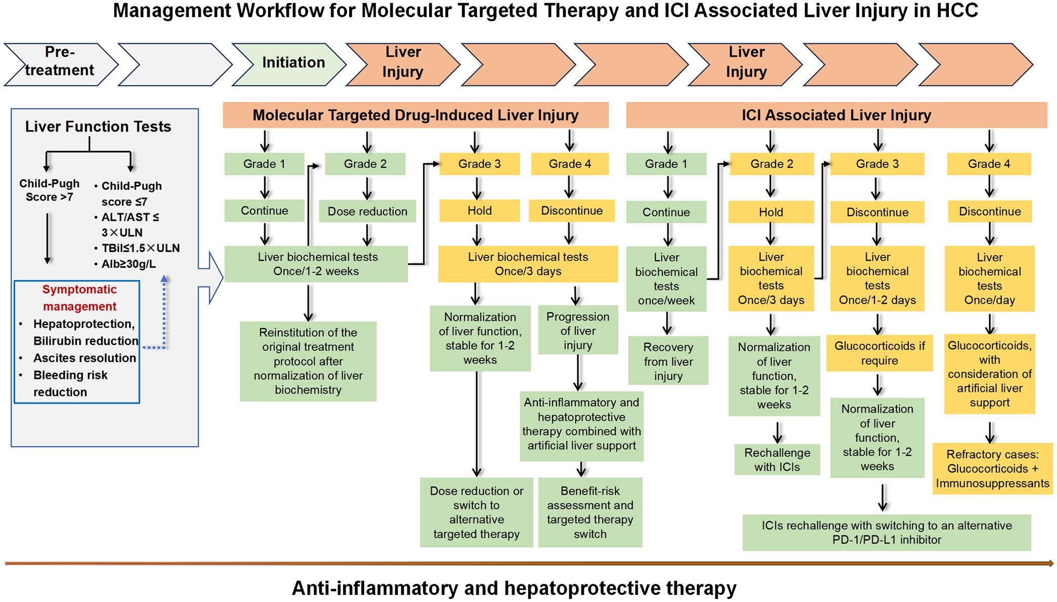 Management Workflow for Molecular Targeted Therapy and ICI Associated Liver Injury in HCC.