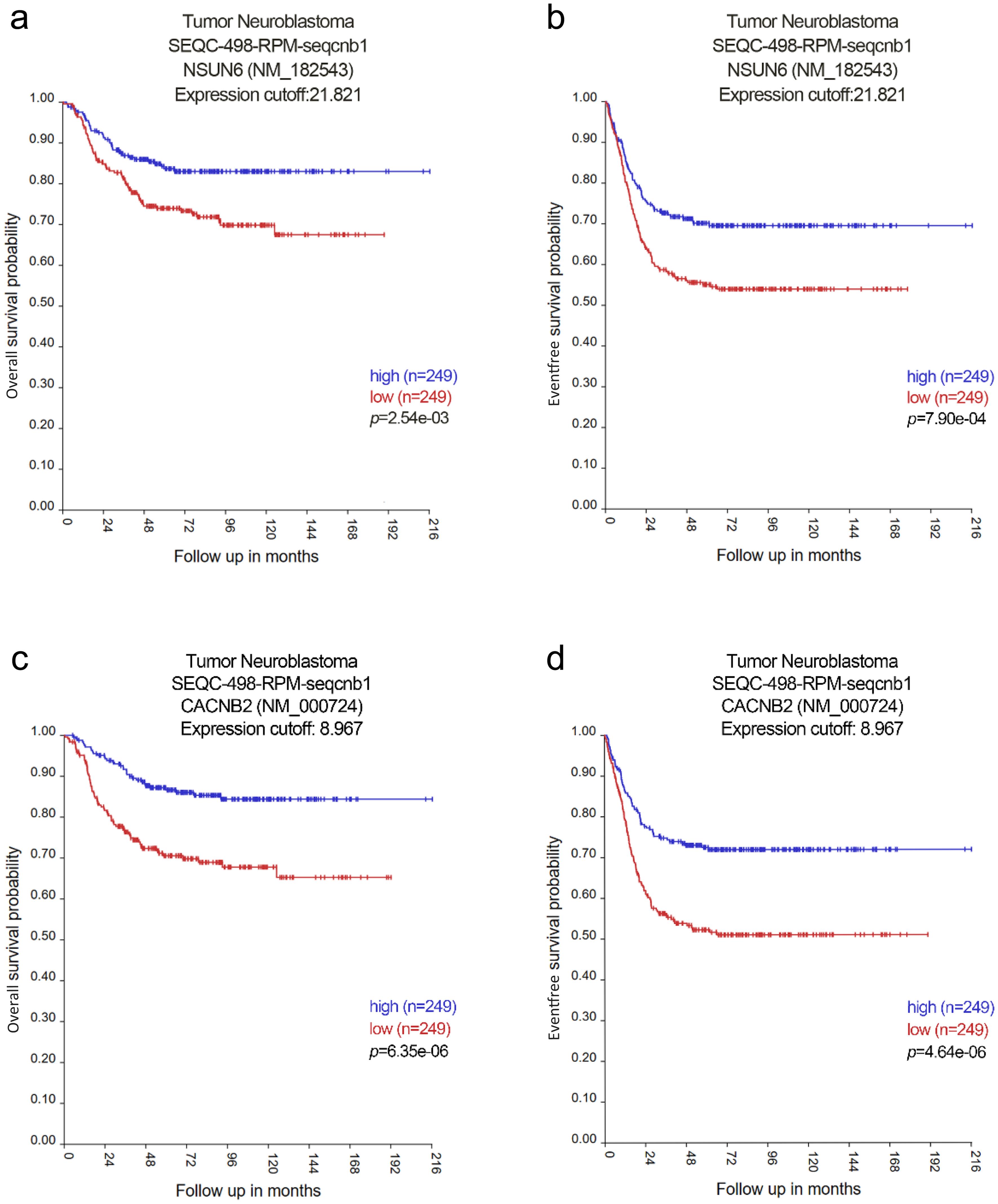 Elevated <italic>NSUN6</italic> gene expression significantly improves overall survival (OS) probability (a) and event-free survival (EFS) probability (b) when compared to lower expression levels. Similarly, increased expression of the <italic>CACNB2</italic> gene is significantly associated with improved OS probability (c) and EFS probability (d).