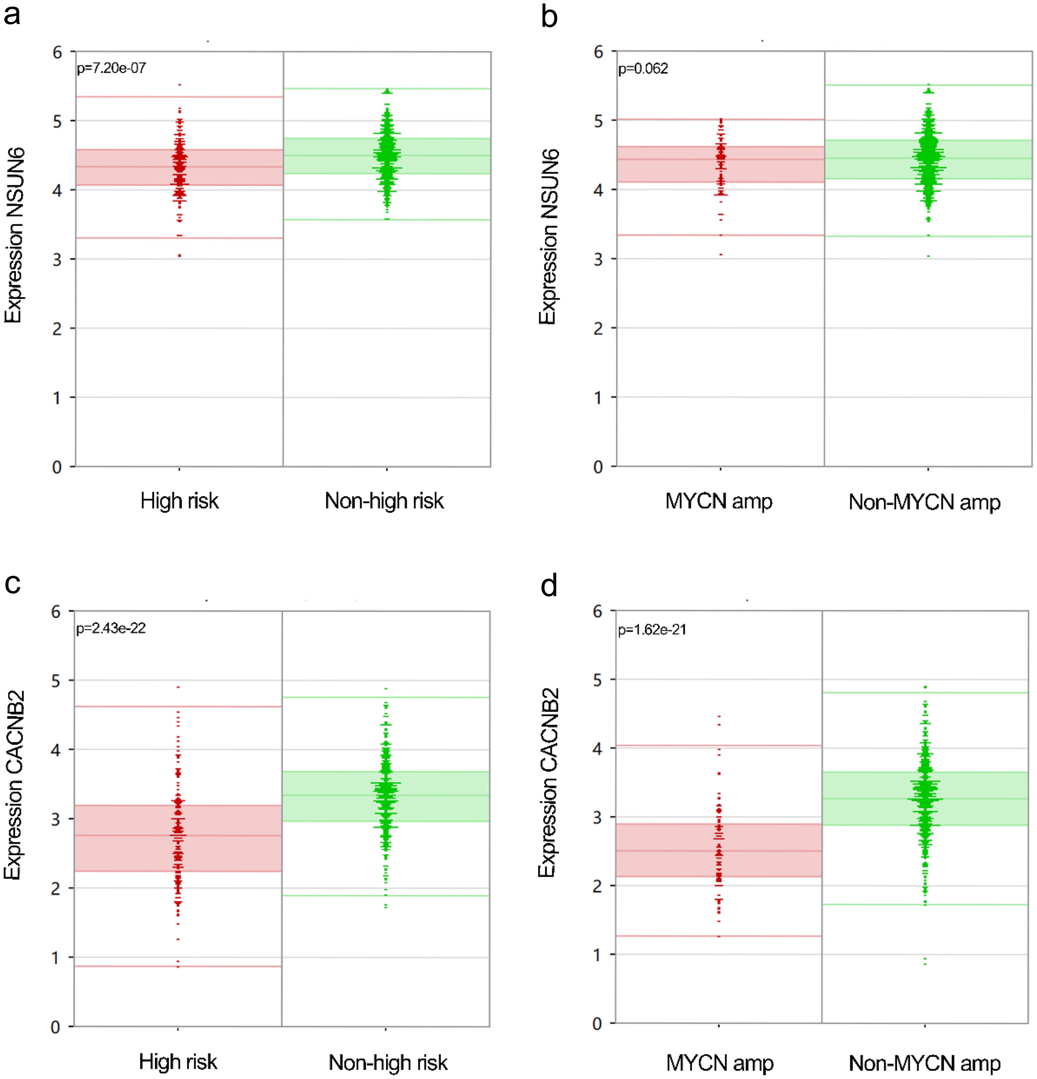 Functional expression of <italic>NSUN6</italic> and <italic>CACNB2</italic> genes is observed in neuroblastoma (a–d).