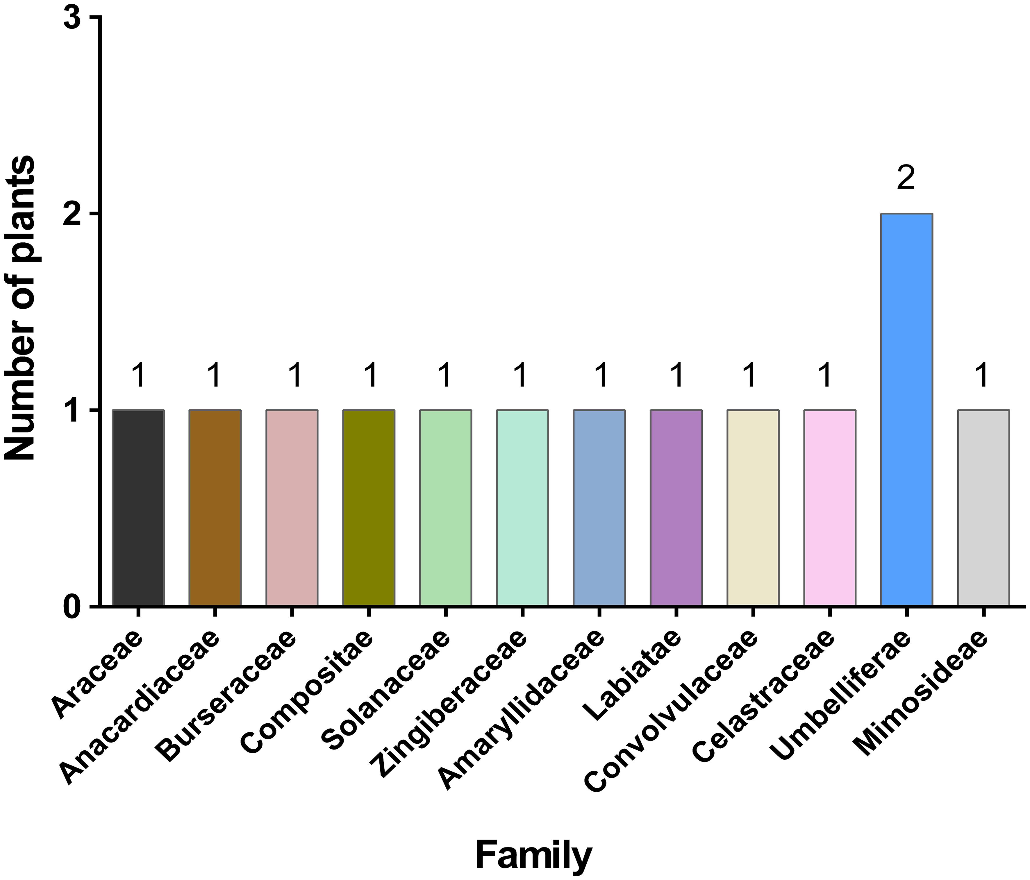 Graph showing the different plant families represented by the memory-enhancing plants.
