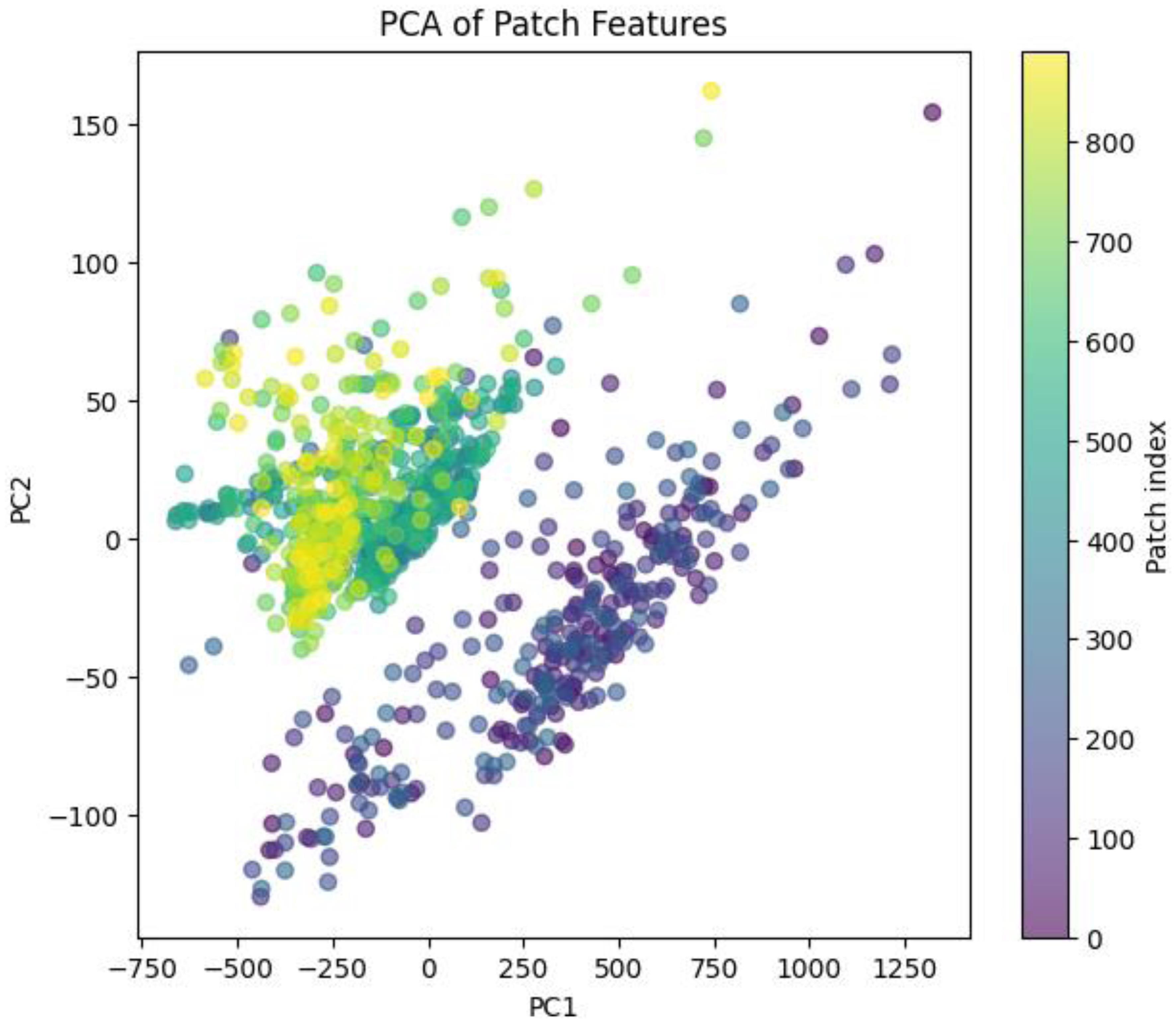 Principal component analysis (PCA) of 512×512 px WSI patches from precancerous and malignant rectal lesions.