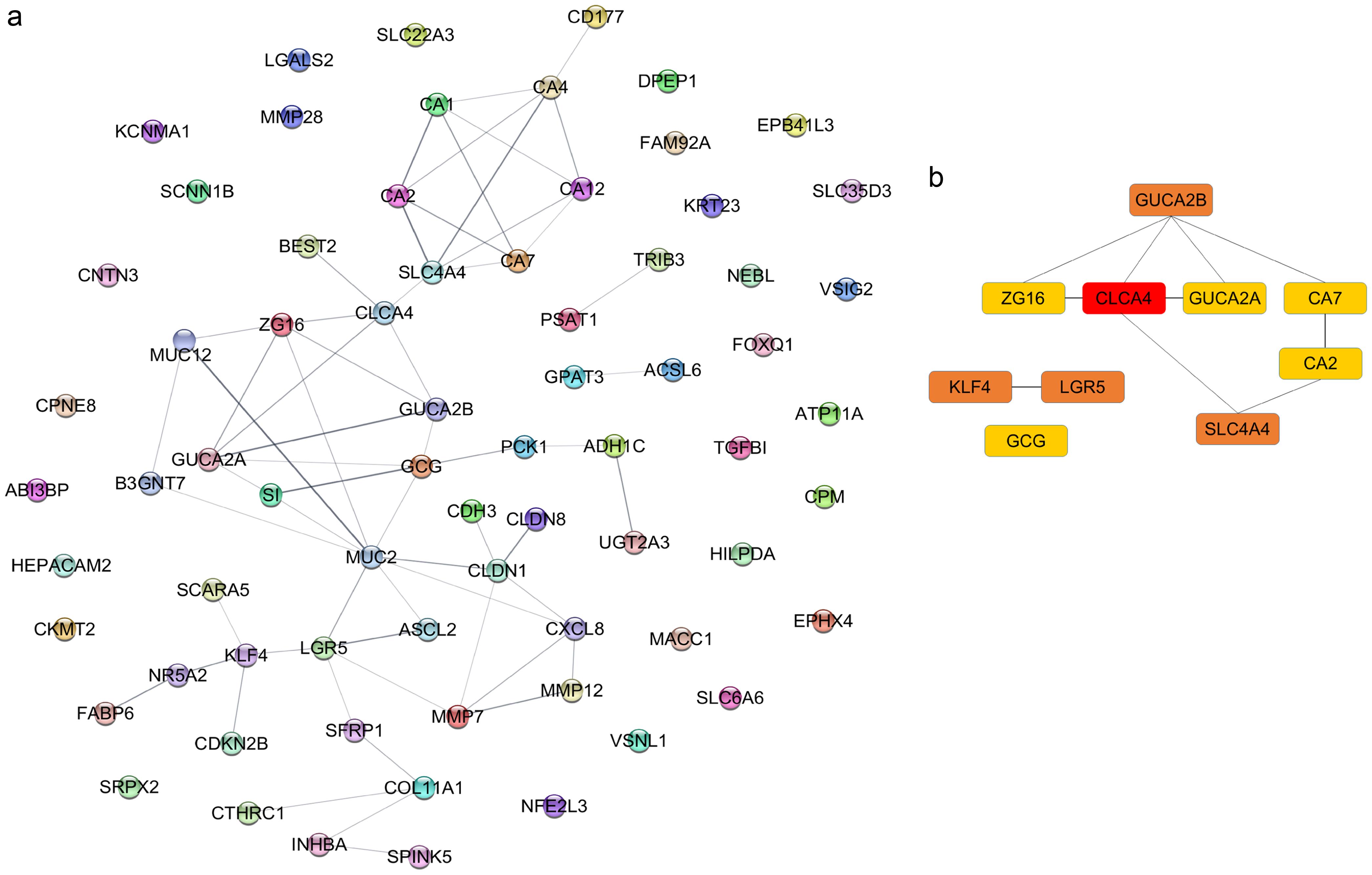 Protein-protein interaction (PPI) networks.