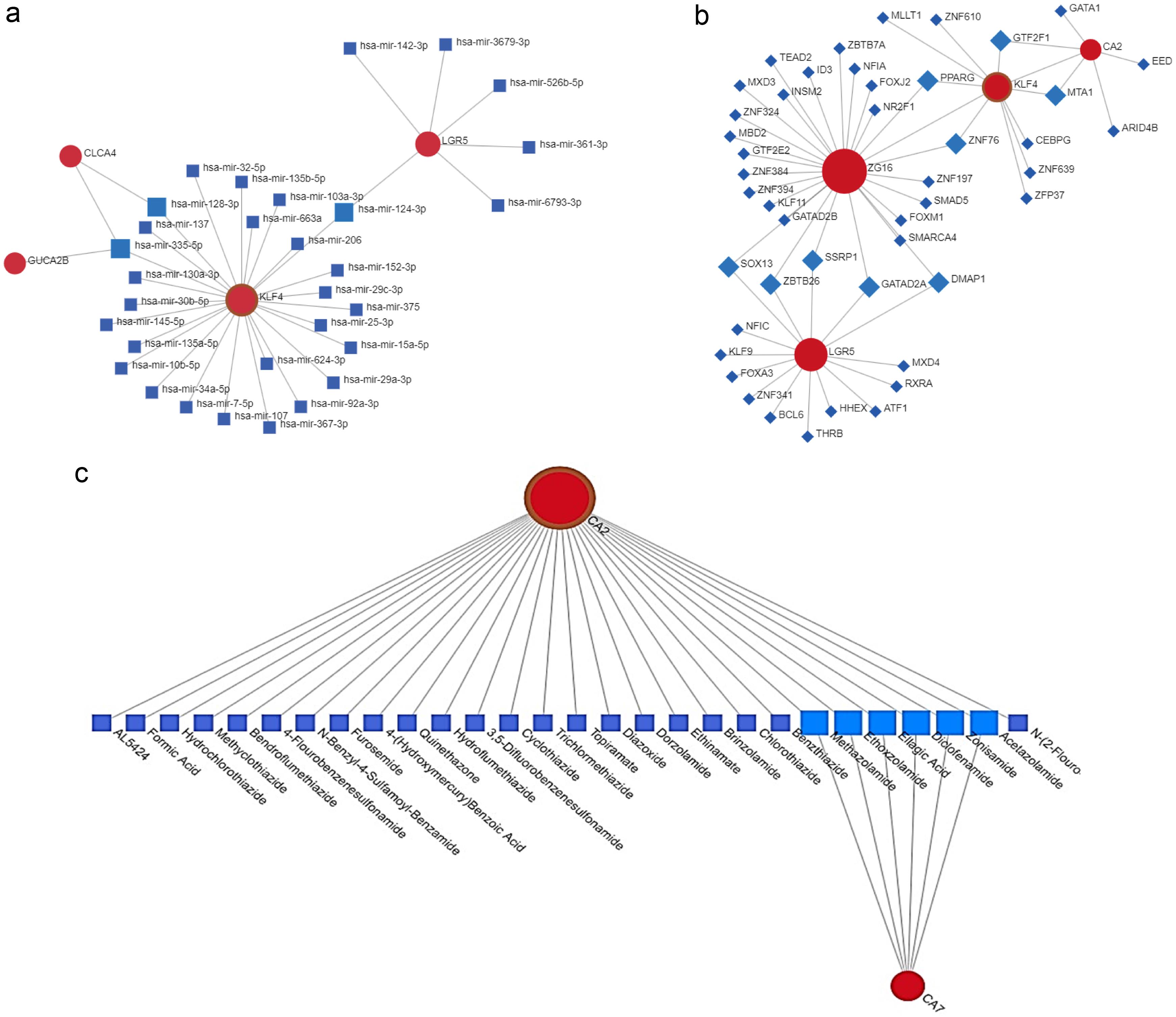 Networks created via NetworkAnalyst.