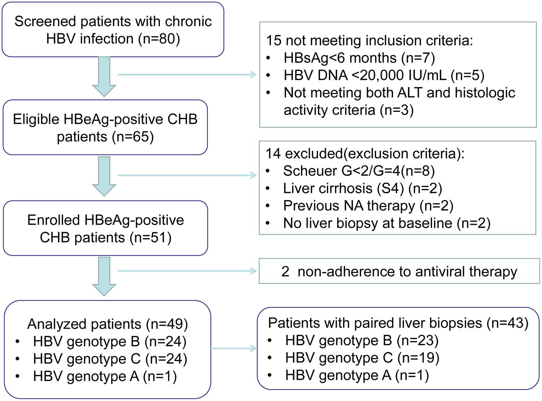 Flow diagram of the study.