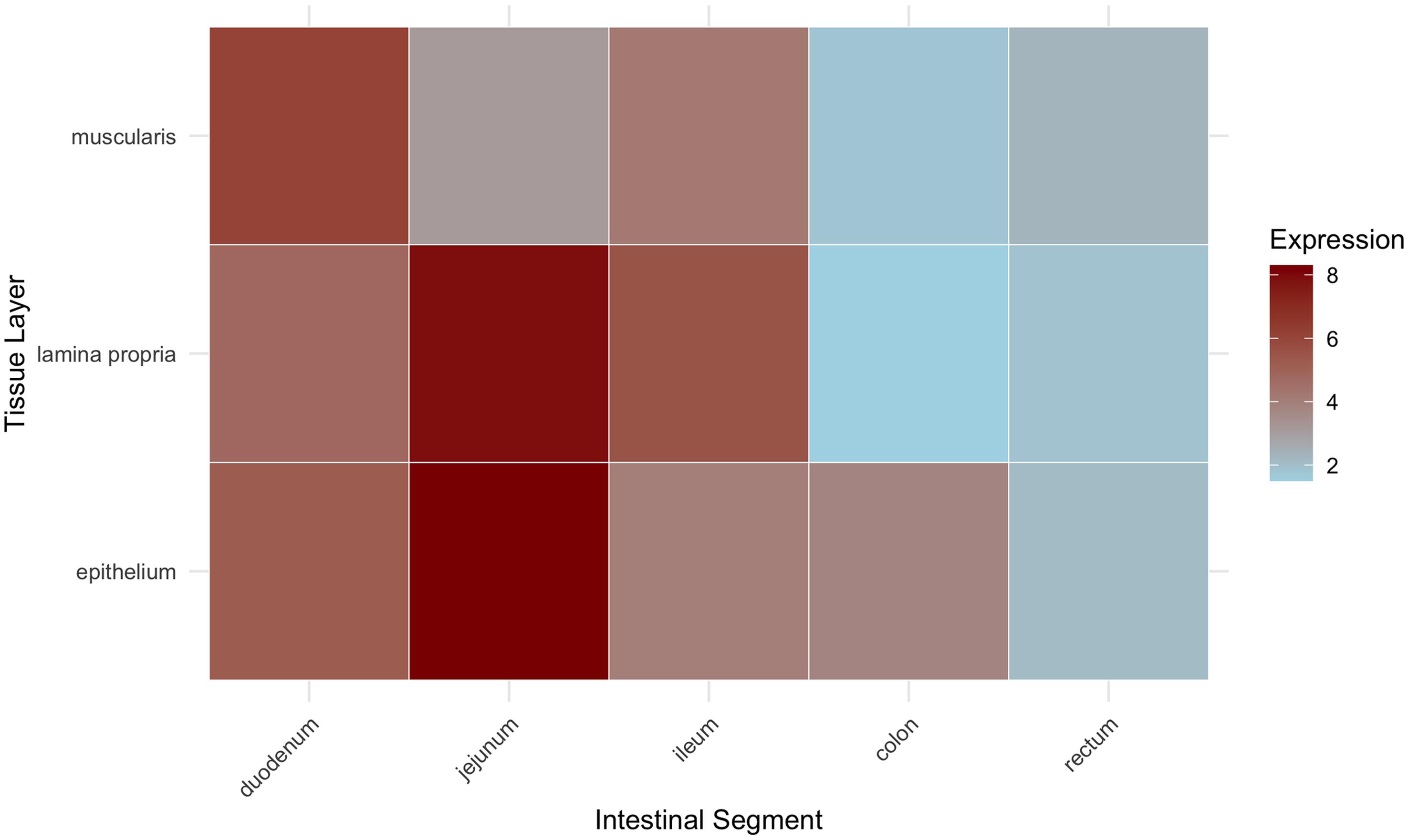 Spatiotemporal distribution of circPan3 along the intestinal tract.