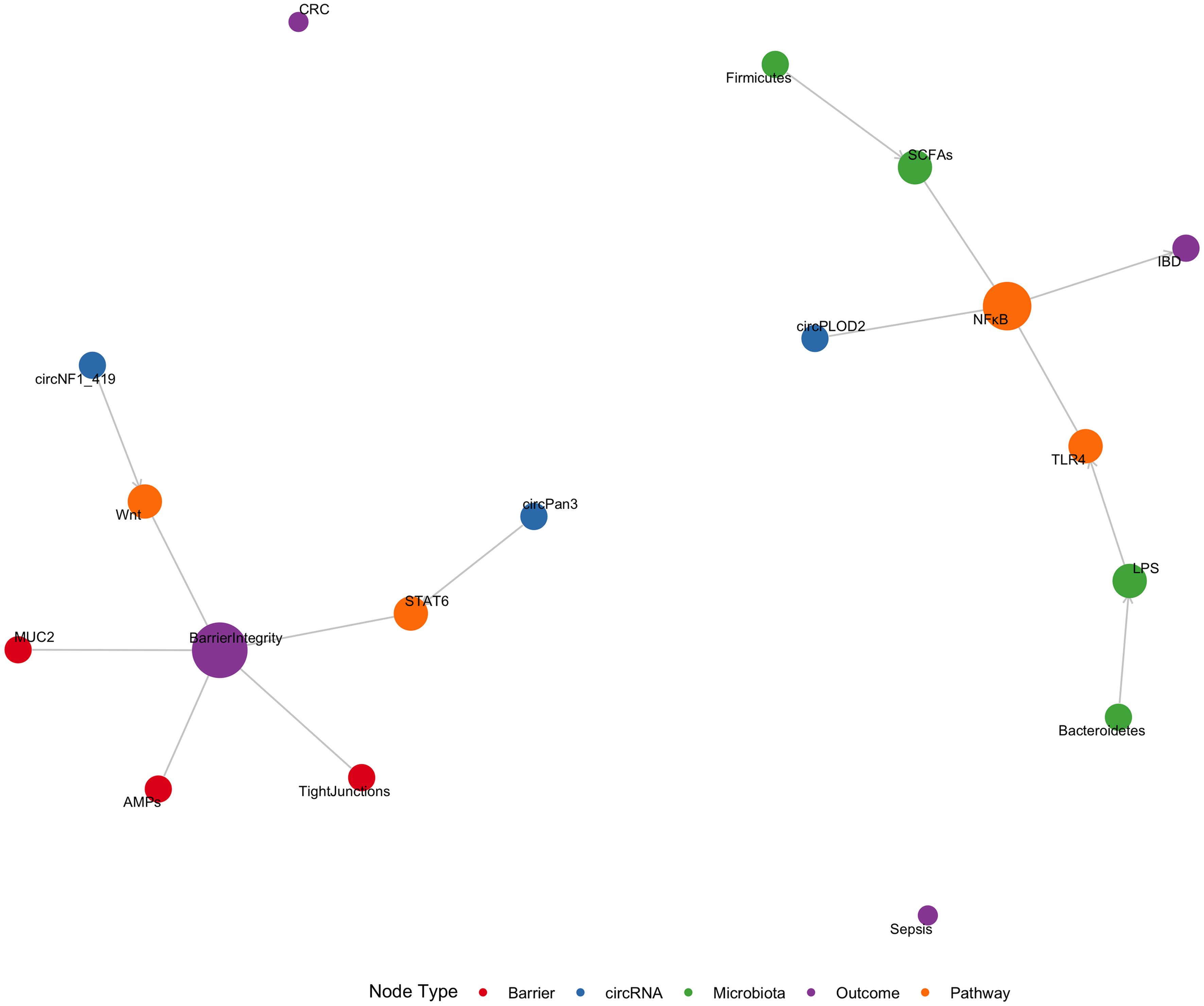 Integrated circRNA–microbiome–gut barrier interaction network.
