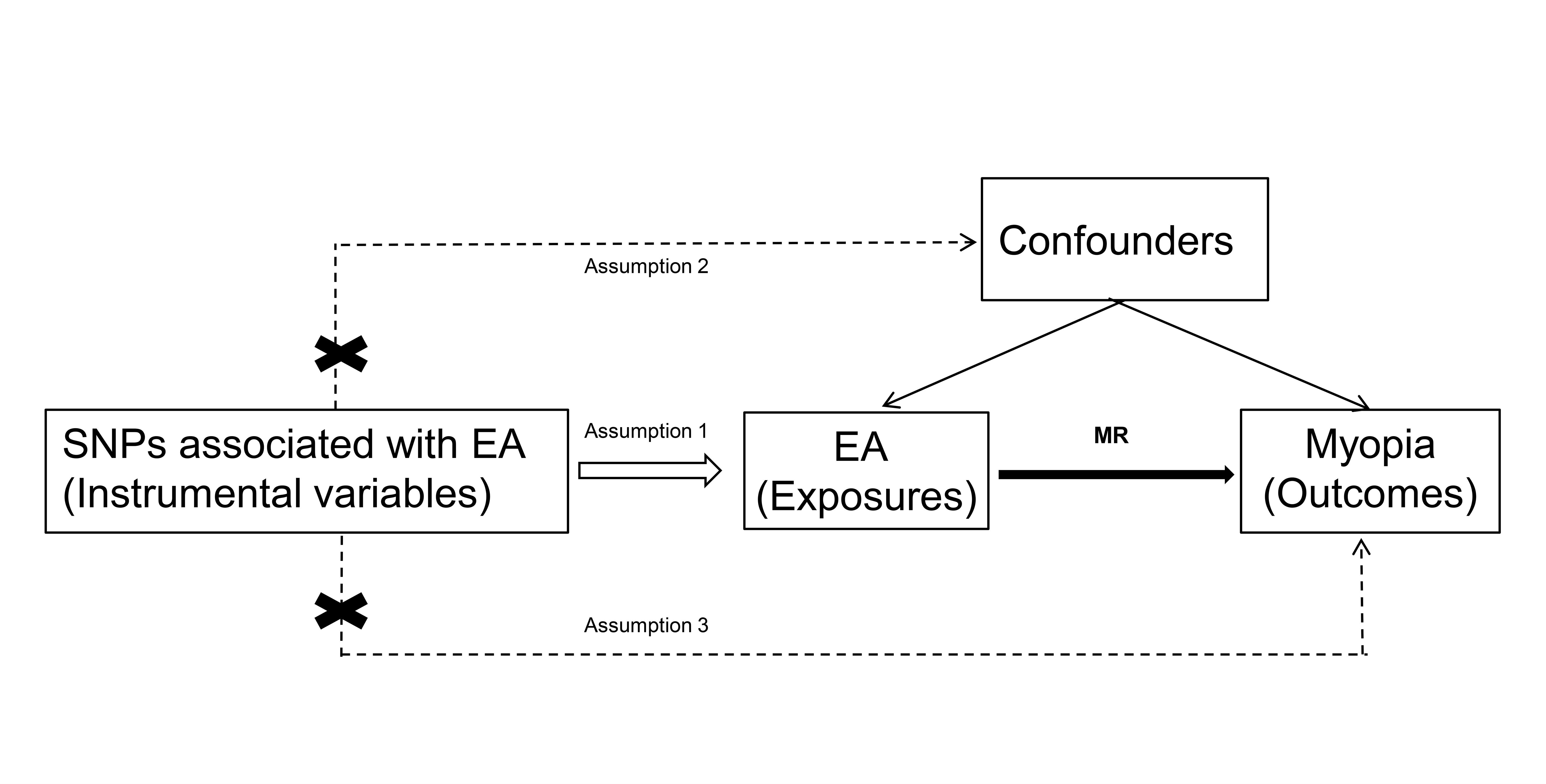 Overview of the study design according to the three key Mendelian randomization (MR) assumptions: (1) strong association between instrumental variables and exposure factors, (2) no confounding factors affecting the association between exposure and outcome (i.e., no genetic pleiotropy), and (3) effects of instrumental variables on the outcome only through exposure.