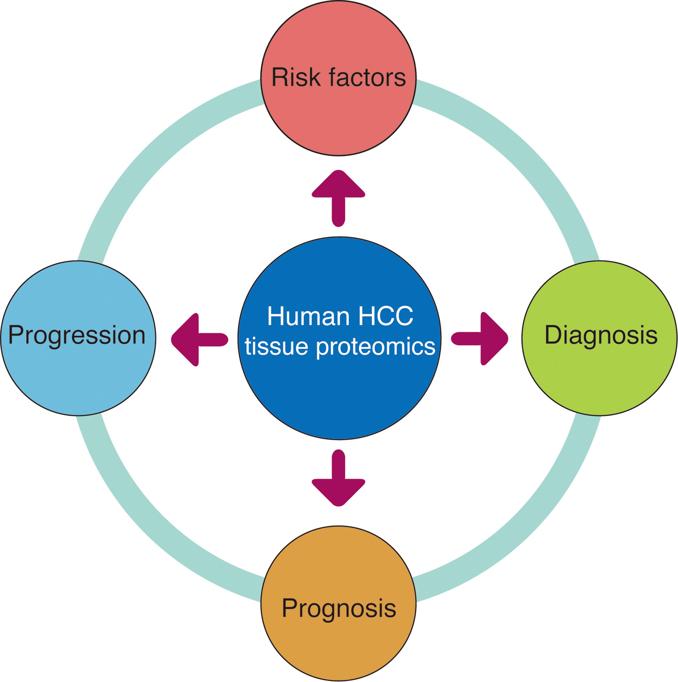 HCC-related questions mostly pursued in tissue-based proteomic studies using human HCC samples.