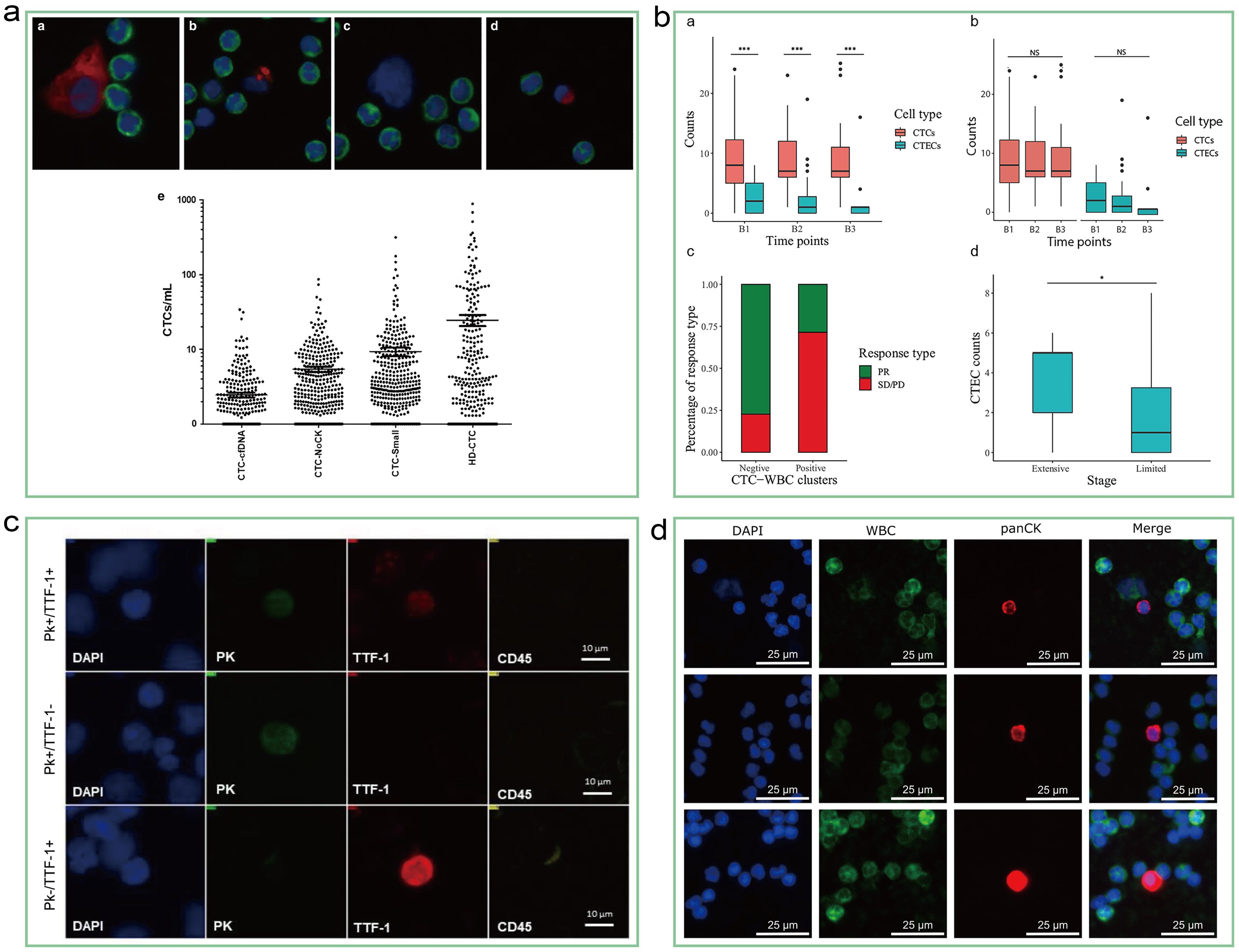 Circulating tumor cells (CTCs) for detection.