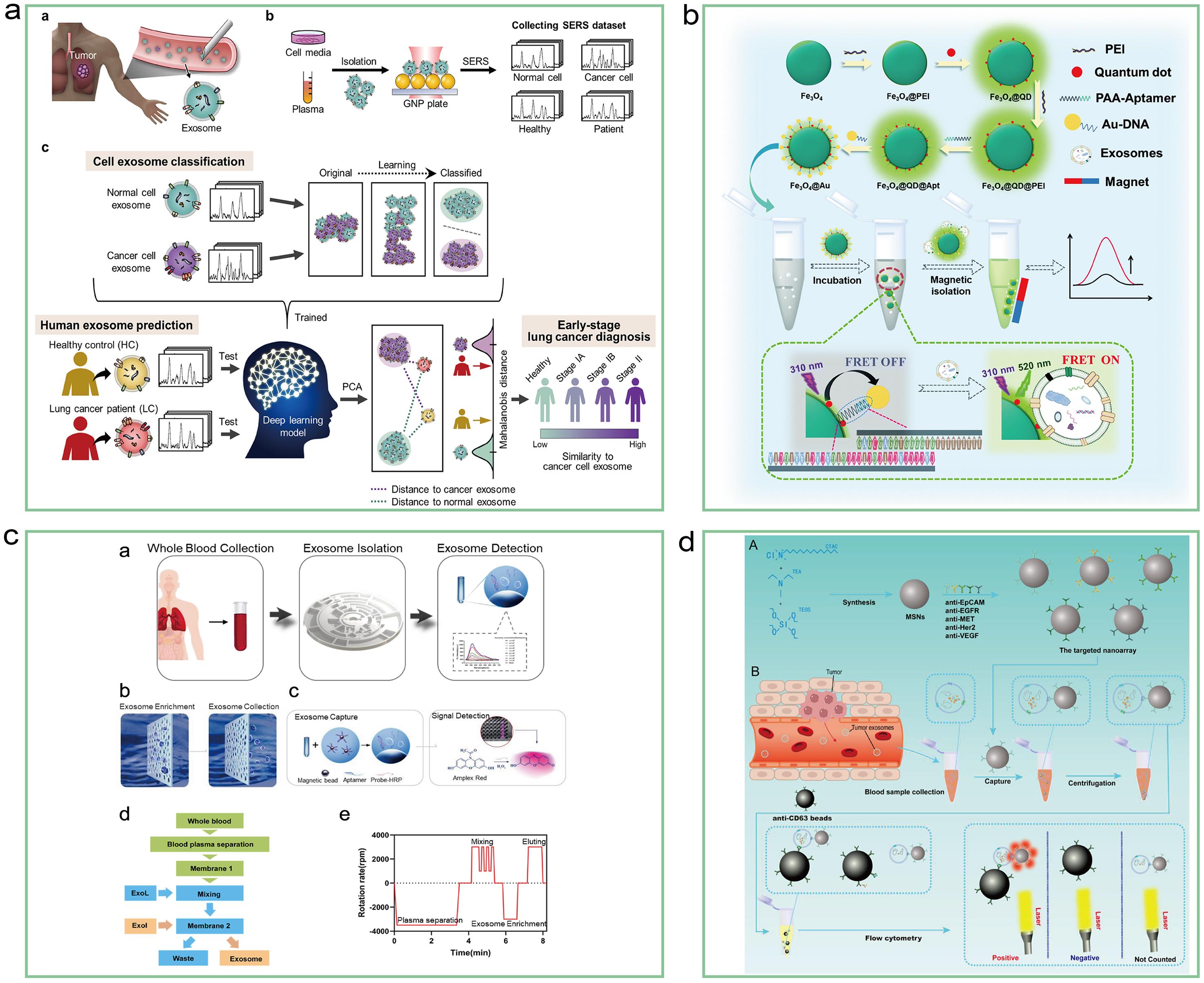 Schematic overview of the deep learning-based circulating exosome analysis for lung cancer detection.